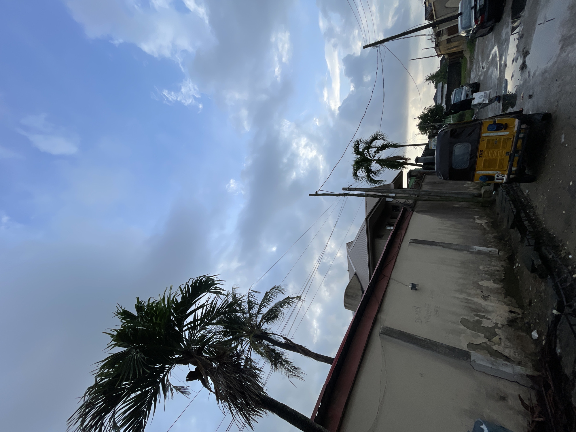 The image depicts a street scene in Ado, Nigeria, under an overcast sky with visible patches of blue. In the foreground on the left, a tall, light-colored perimeter wall displays significant wear, including peeling plaster and dark staining at its base. Graffiti on the wall reads, "Do not urinate here." Two tall palm trees stand prominently to the left, their fronds extending into the upper left quadrant of the frame. Overhead, multiple power lines crisscross the sky, connected to utility poles positioned along the street.
The street itself is an unpaved or poorly maintained dirt road, marked by numerous puddles and wet patches, indicating recent rainfall or poor drainage. A yellow and black three-wheeled auto-rickshaw, identified by "TVS" and "03" on its rear, is centrally located, facing away from the viewer. Behind the auto-rickshaw, a person is seen walking away from the camera, carrying a white bag. Further down the street on the right, two additional vehicles, including a dark sedan, are parked or stopped. In the background, residential buildings with reddish roofs are visible, and more utility poles line the road.