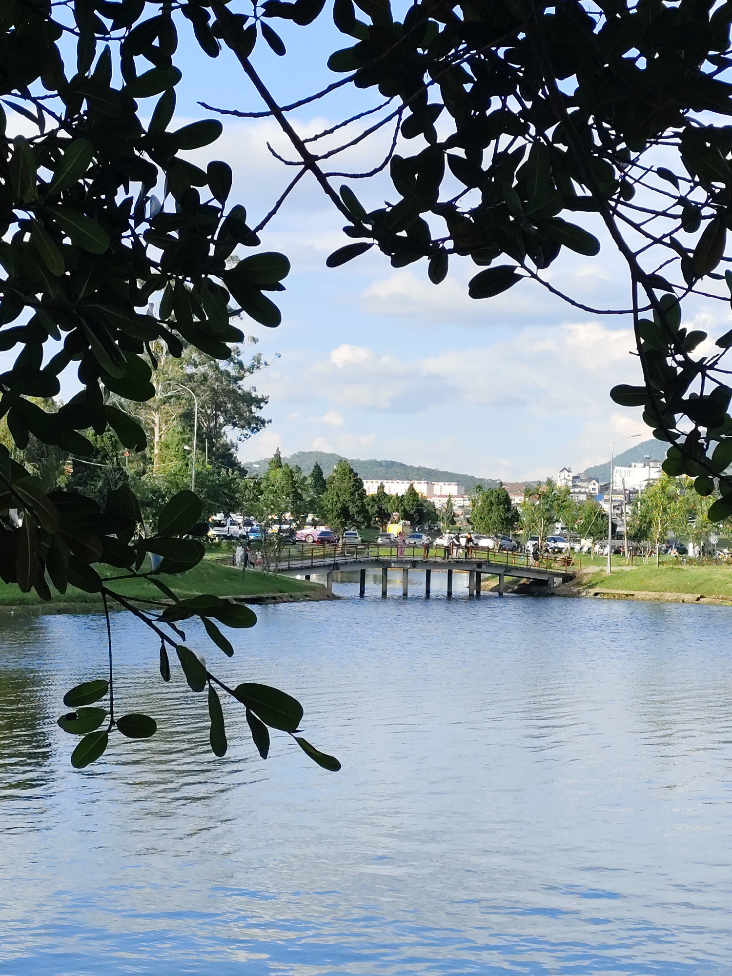 The image depicts a serene lake scene in Da Lat, Vietnam, with a wooden bridge spanning across the water. In the foreground, dark green leaves and branches frame the view, casting shadows on the calm, rippling surface of the lake. Beyond the bridge, the opposite bank is lined with lush green grass and a variety of trees, with a backdrop of buildings and hills under a partially cloudy sky. Several vehicles are parked along the roadside, and a few people are visible walking on the grass and on the bridge. The atmosphere suggests a pleasant day in a park or recreational area.