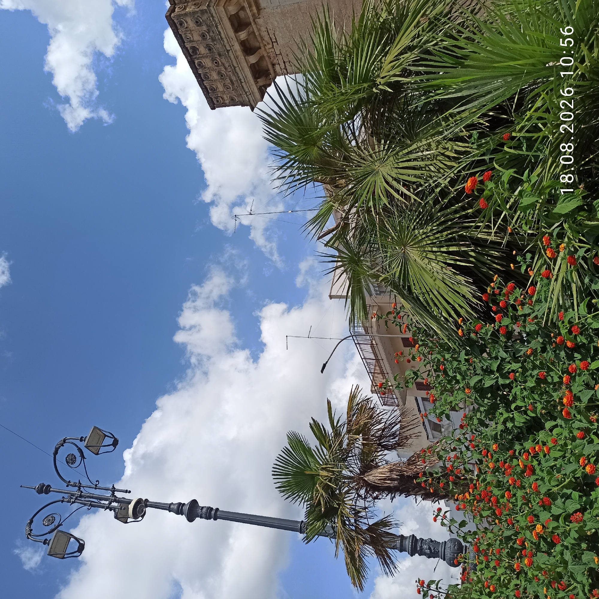 The image depicts a sunny outdoor scene in Bitonto, Italy, likely a public area with dense greenery and architectural elements. A tall, ornate black lamppost stands to the left, topped with two decorative lamps. In the foreground, a lush hedge of vibrant red and orange flowers, possibly lantana, creates a colorful band across the lower portion of the frame. Behind the flowers and to the right, several palm trees with large fronds are visible. In the background, a building with balconies and awnings can be seen, and further to the right, the corner of an older stone structure with decorative molding is present. The sky is bright blue with scattered white clouds. A timestamp "18.08.2026 10:56" is superimposed on the lower right corner of the image.