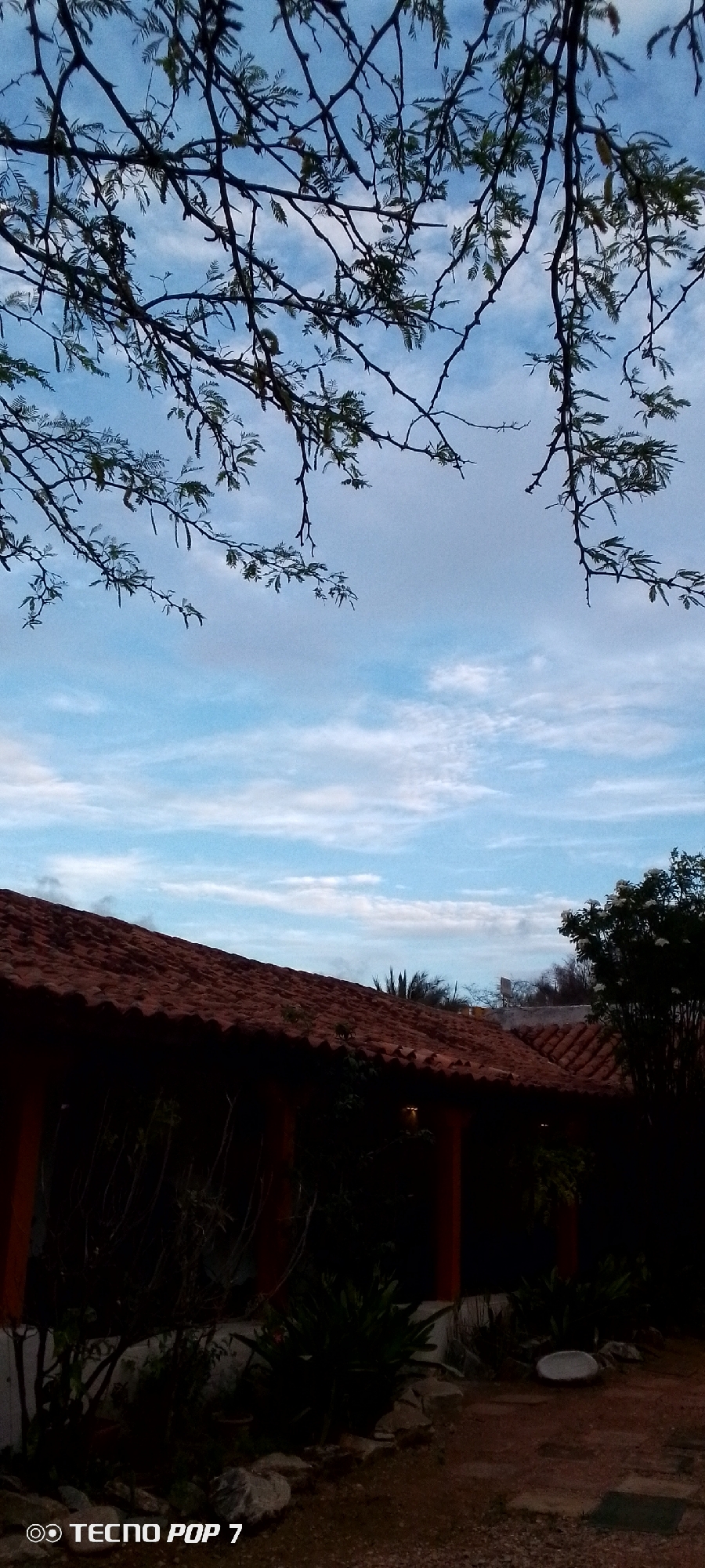 The image shows a view of a building's terracotta tiled roof against a partly cloudy sky. Branches of a tree with small green leaves are in the foreground, silhouetted against the sky. The building appears to be a single-story structure with visible supporting columns and an overhang. Dense, dark foliage is visible beneath the roofline and in front of the building, suggesting a garden or natural setting. The ground in front of the building is composed of dirt and scattered rocks. The overall lighting suggests it is either early morning or late afternoon. The "TECNO POP 7" watermark is present in the bottom left corner of the image.