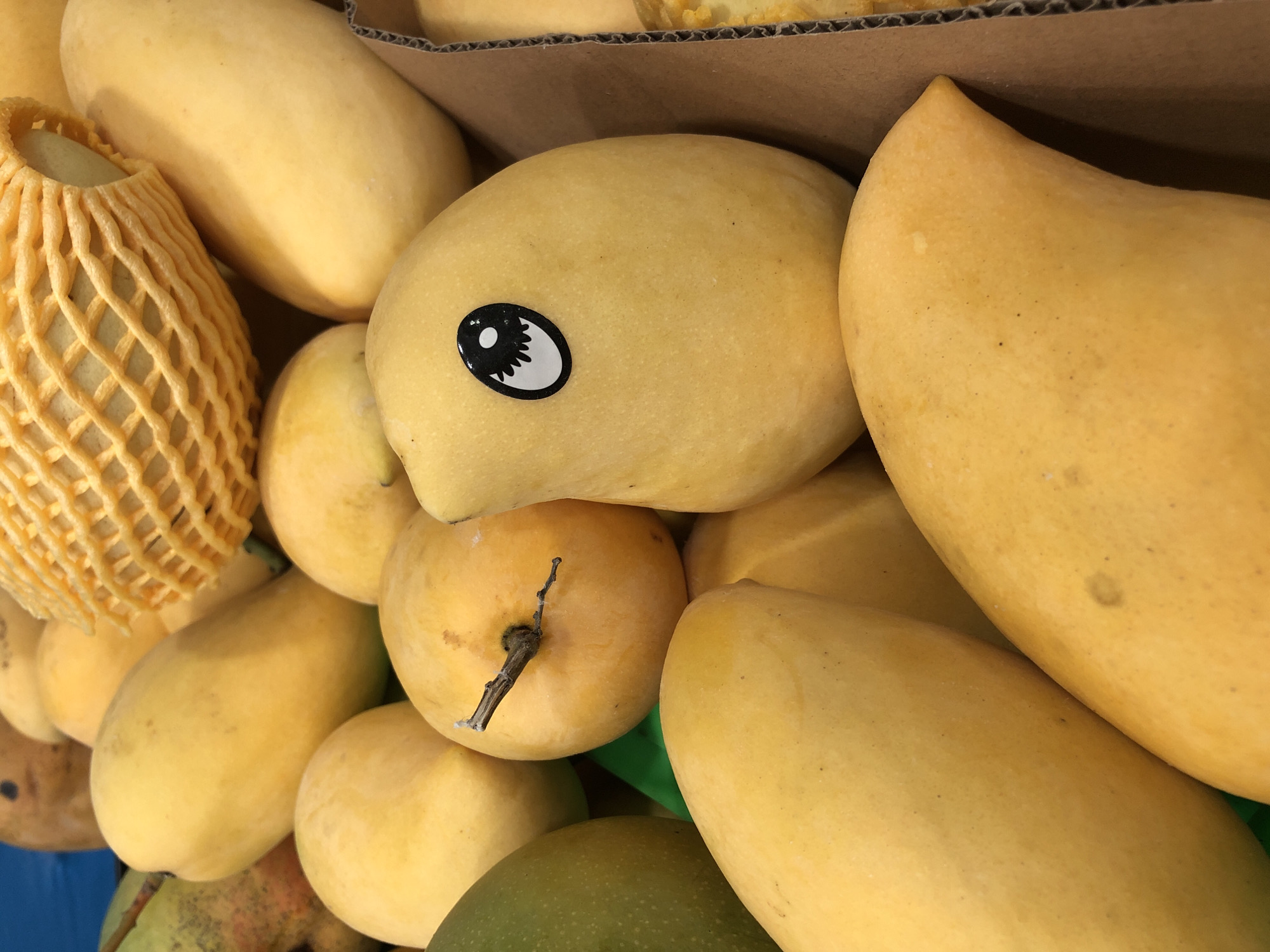 A close-up, overhead shot captures a vibrant display of ripe mangoes in a cardboard box, likely at a market in Đà Nẵng, Vietnam. The majority of the mangoes are a rich yellow, with some showing hints of green and red. One mango in the foreground stands out with a black and white cartoon eye sticker affixed to its skin. The texture of the mangoes' smooth skin is visible, as are small blemishes and imperfections that speak to their natural origin. A yellow mesh protective netting is partially visible at the top of the frame, suggesting the mangoes are being prepared for sale or transport. The background is filled with more mangoes, creating a dense and appealing arrangement. The lighting is bright and natural, highlighting the fruits' succulent appearance.