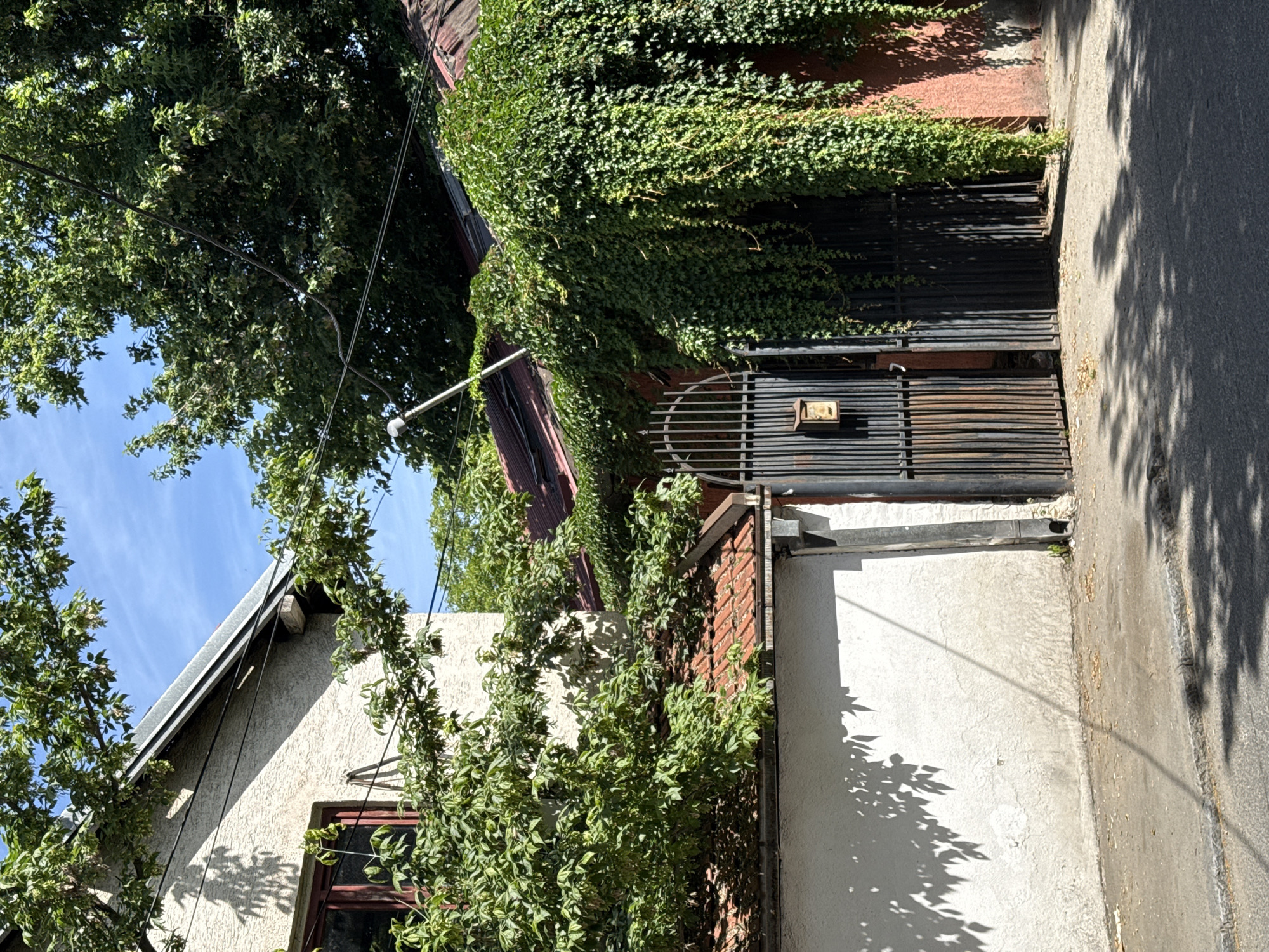 An outdoor scene captures a residential property, likely in the city of Vozdovac Urban Municipality, Serbia. A light-colored stucco building with a red-tiled roof is partially visible on the left, with a dark-trimmed window and lush green foliage encroaching on its eaves. A tall, black wrought-iron gate, partially open, stands in the center, leading into the property. The gate features vertical bars and a small, weathered mailbox attached to the left section. Thick green ivy cascades down from above, covering a portion of the gate and the adjacent rust-colored wall on the right. The ground in front of the gate is paved with asphalt, showing shadows of leaves cast by nearby trees. Power lines are visible crisscrossing the upper portion of the image against a bright blue sky with scattered clouds. The overall impression is one of overgrown nature reclaiming parts of the built environment.