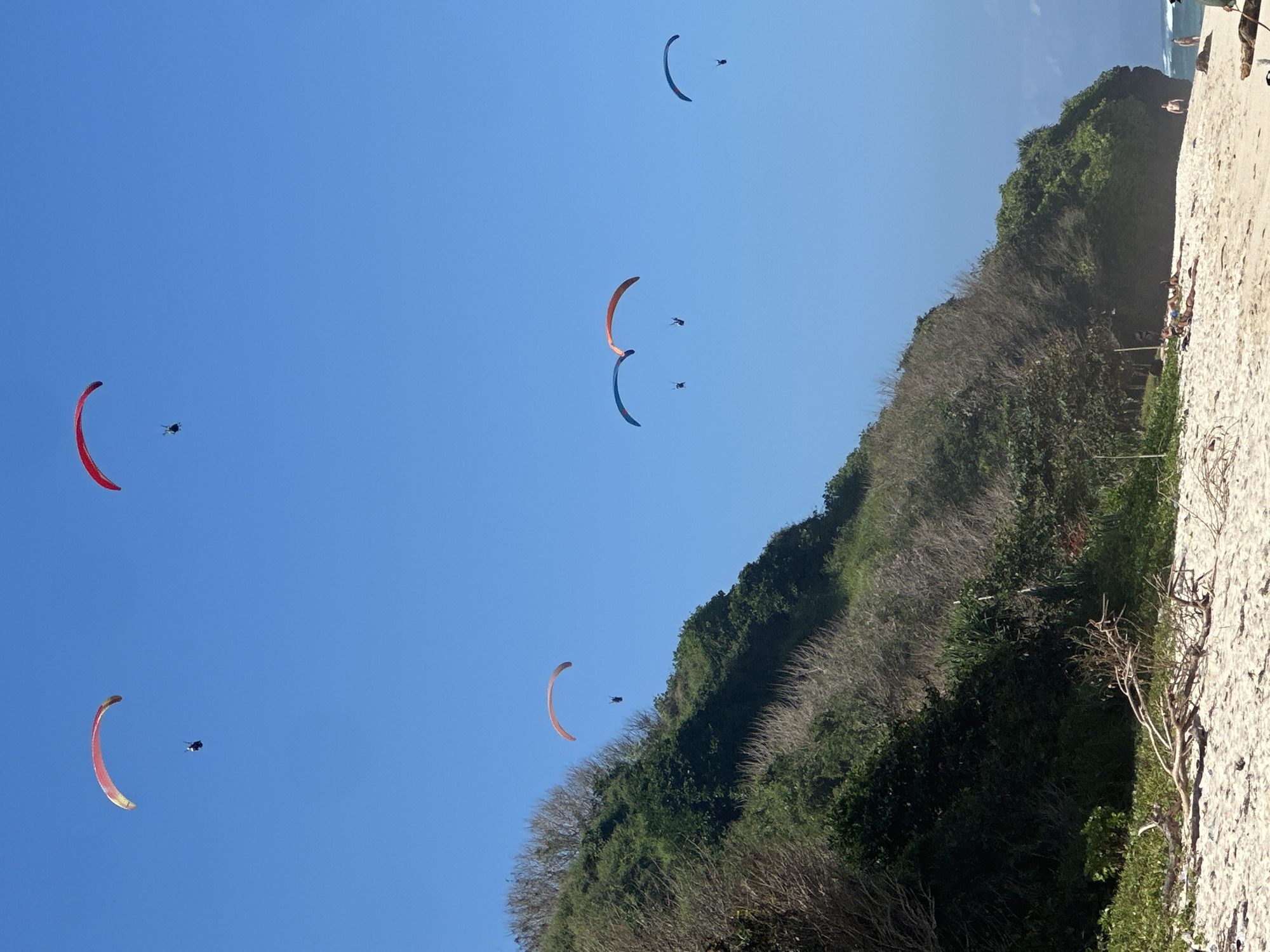 In Kuta Selatan, Indonesia, paragliders dot a clear blue sky above a verdant, tree-covered cliff face that slopes down to a sandy beach. Five paragliders are visible; two are in the upper left quadrant, one with a red and yellow canopy and another with a red canopy. Further to the right, a lone paraglider with a red canopy is in the sky. In the middle of the frame, two paragliders are flying in tandem, one with a blue canopy and the other with an orange canopy. To the far right, a single paraglider with a blue canopy is in the air. The beach below is dotted with a few sunbathers and individuals standing or walking, and the ocean is visible on the far right edge of the frame with a gentle wave.