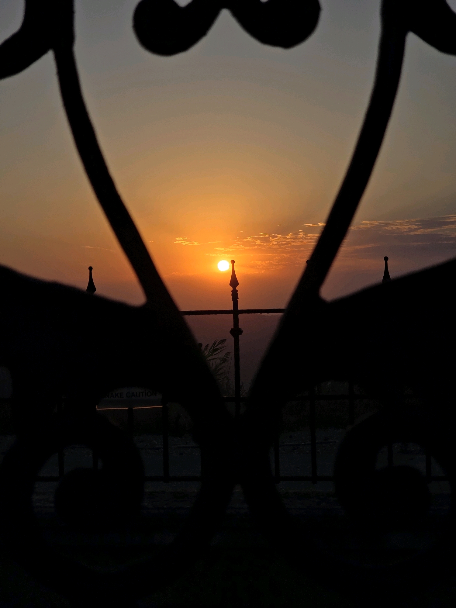 The image shows a sunset in Muğanlı, Azerbaijan, viewed through a decorative metal fence. The sun is a bright orange orb low in the sky, casting warm hues across the horizon. The sky transitions from a pale grey at the top to shades of orange and yellow near the sun. wispy clouds are scattered across the sky. The foreground is dominated by the dark silhouettes of the ornamental fence, which creates a framing effect. In the middle ground, some distant trees and a fence with pointed finials are visible, also silhouetted against the bright sky. A partially obscured sign with the text "SNAKE CAUTION" is also present, hinting at the natural surroundings. The overall impression is one of a peaceful sunset in a natural setting, viewed from behind a decorative barrier.