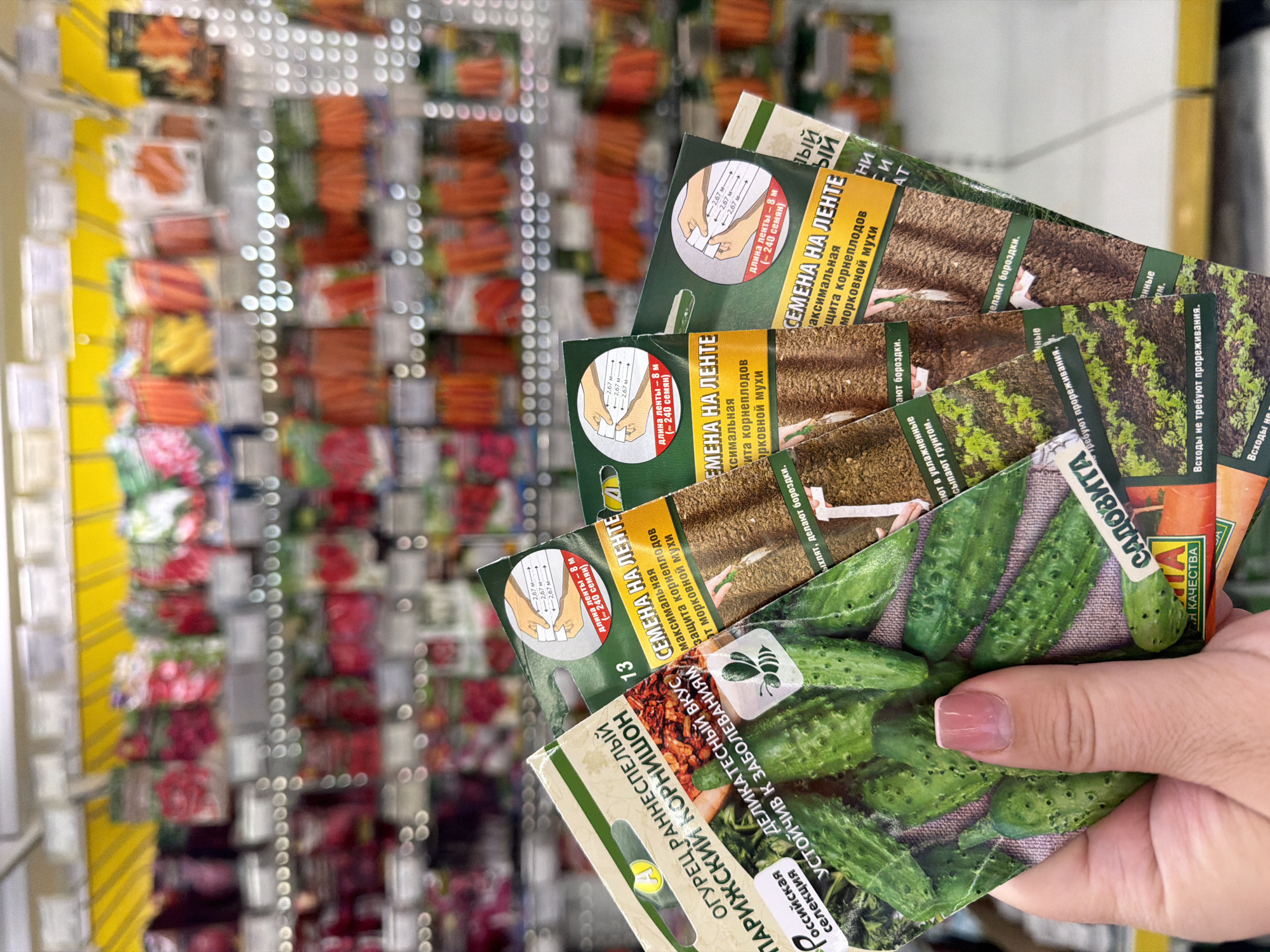 A hand holds several packets of seeds in what appears to be a store. The seed packets in the foreground feature images of cucumbers and carrots, with text in Russian. The packets are stacked partially overlapping, obscuring some of the information. In the background, there is a display rack filled with various other seed packets, creating a blurred and colorful backdrop. The scene appears to be indoors, possibly in a retail establishment selling gardening supplies. Based on the text on the packets, it is likely this image was taken in Chaikovsky, Russia.