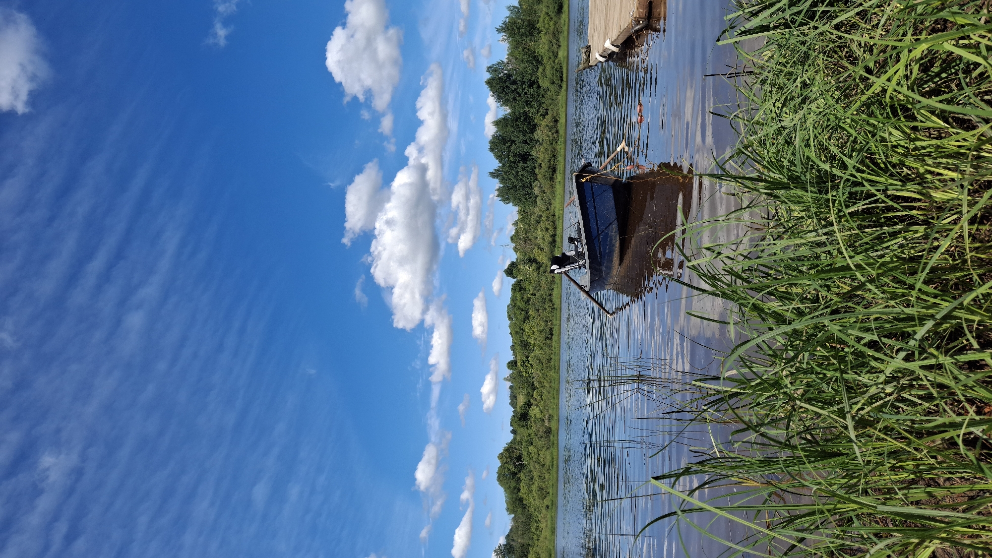 A blue rowboat is moored on a calm lake under a bright blue sky with scattered white clouds. The boat is empty and has oars resting inside. In the foreground, tall green grass grows along the shoreline, and a wooden dock extends into the water on the right side of the image. The background features a dense line of green trees and shrubs. The scene depicts a serene natural landscape in Sitno, Russia.