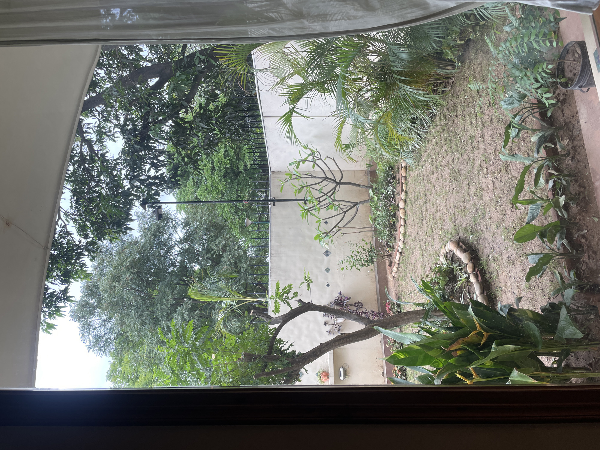 From an interior perspective, the image captures a garden scene viewed through a window. The garden includes a variety of foliage such as trees and plants. The ground is a mix of soil and greenery. A wall runs along part of the garden's edge, and a black metal fence is visible beyond the wall. The window frame is visible in the foreground.