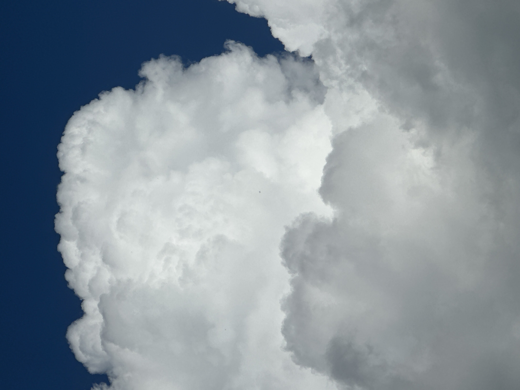 The image presents a dynamic sky scene. Dominant bright white cumulus clouds occupy the upper and central areas, sharply contrasted against a dark blue sky visible in the upper-right and upper-left quadrants. The lower portions of the frame feature denser, more diffused cloud formations, appearing in shades from light to dark gray. No human figures, objects, or terrestrial features are present. The location is an outdoor sky in Unknown, Unknown.