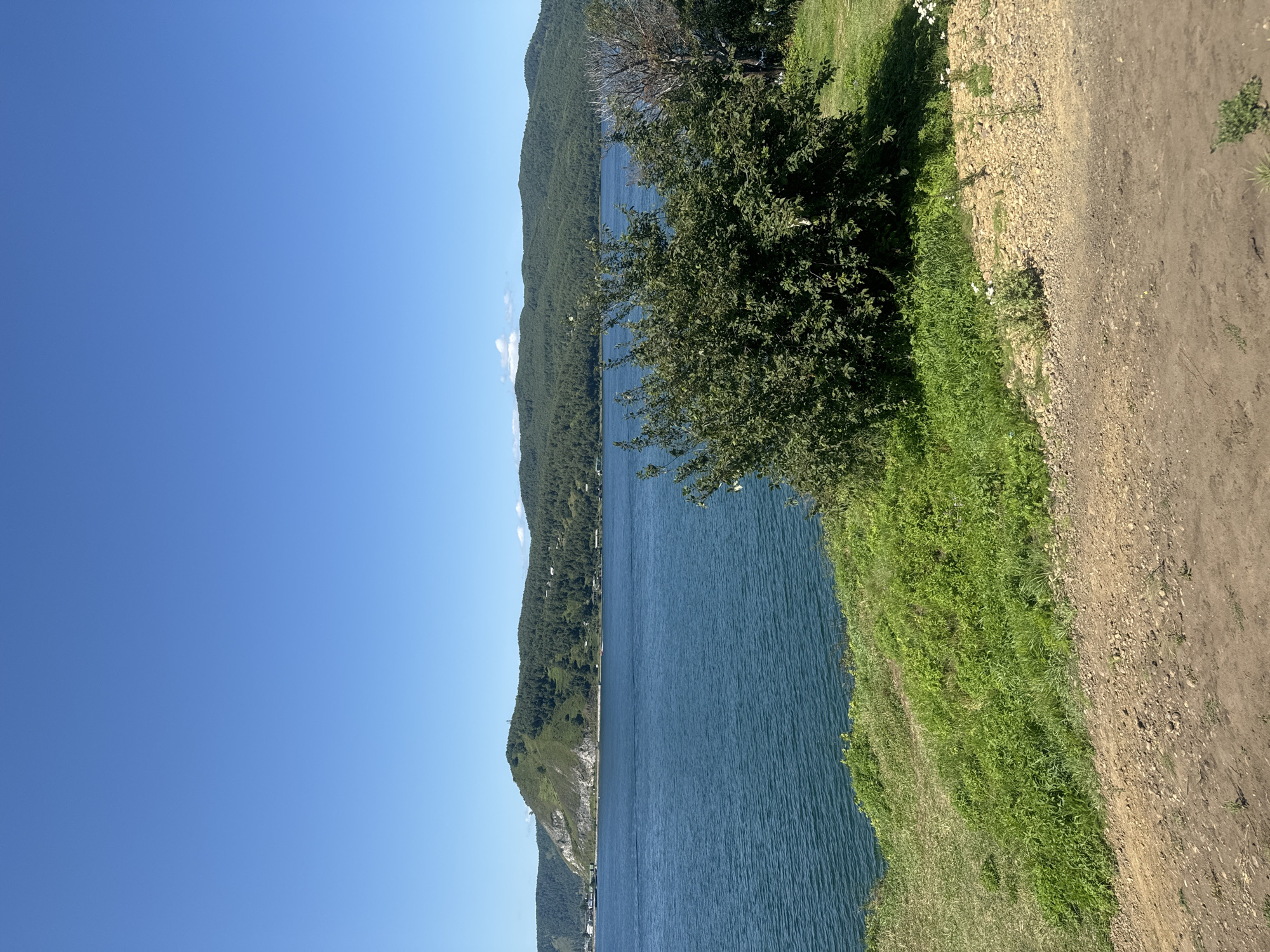 The image captures a panoramic view of Lake Baikal in Listvyanka, Russia, on a clear, sunny day. The deep blue water of the lake dominates the foreground and mid-ground, with gentle ripples indicating a light breeze. The shoreline is a vibrant green, with lush grass and dense bushes covering the gentle slope leading down to the water. In the distance, rolling hills covered in dense green forest rise majestically, with a prominent, rocky, tree-covered mountain forming a distinctive peak on the left side of the horizon. A few small buildings are visible scattered along the distant shoreline. The sky is a brilliant, cloudless blue, creating a serene and expansive atmosphere. The foreground consists of a dirt and gravel path, suggesting a natural walking area or viewpoint. No people are visible in the image.