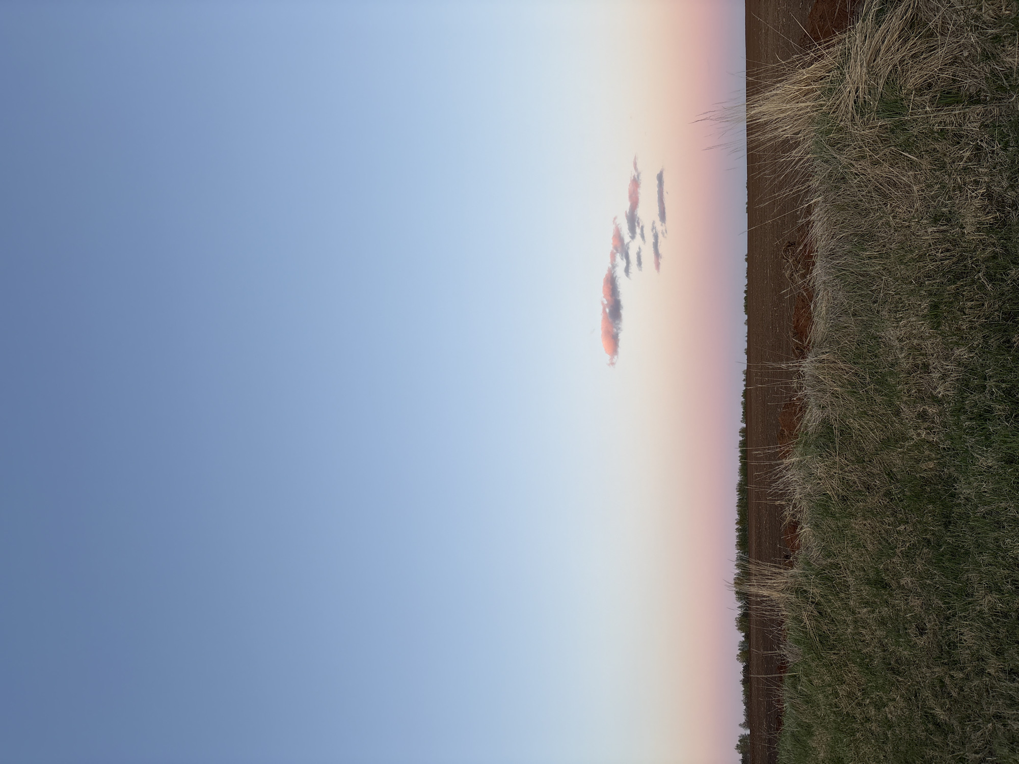 The image depicts a landscape in Кырныш, Russia, captured at dawn or dusk, showing a gradient sky transitioning from blue to a soft orange-pink hue near the horizon. A line of sparse trees or shrubs separates a field from the sky, with an area of dense grasses and vegetation in the foreground. A small cluster of elongated, reddish-tinged clouds is visible in the sky. No people, distinct objects or specific interactions are readily visible. The setting is a rural, open area under a colorful sky.