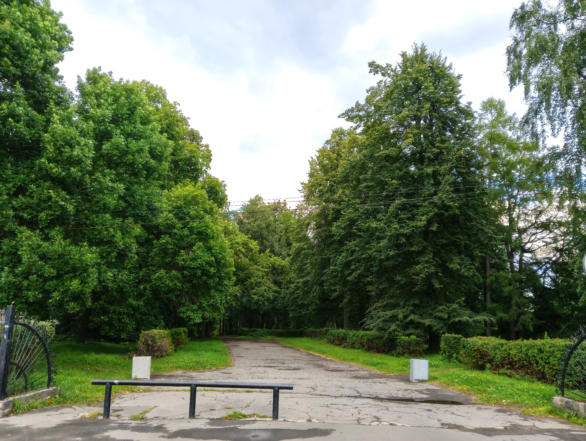 The image depicts a paved path winding through a park with mature deciduous trees lining both sides. The path appears cracked and weathered, with puddles of water suggesting recent rain. On the left side of the path, there is a black metal fence with a decorative curved section. A black metal bench with three horizontal bars is positioned in the foreground, set on the paved surface. To the left and right of the bench, concrete planters are visible, one on each side. The park is well-maintained, with neatly trimmed green bushes and grass flanking the path. The sky is overcast with patches of white clouds. The scene is consistent with the appearance of the Botanical Garden of Petrozavodsk State University, located in Petrozavodsk, Russia.