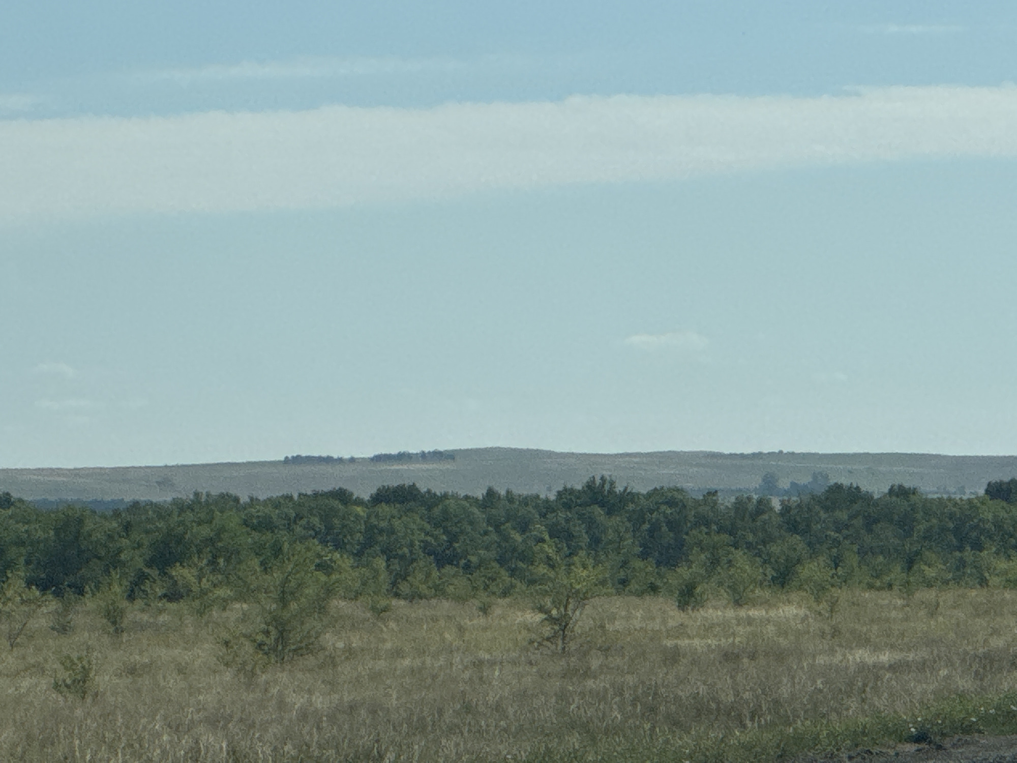 The image depicts a rural landscape under a clear sky with scattered clouds. In the foreground, dry, brown grass and some scattered green vegetation are visible. A dense line of green trees forms the middle ground, with some younger trees interspersed in front of them. Behind the treeline, a gently rolling, barren hill stretches across the horizon. The sky is a pale blue with a prominent horizontal band of lighter, hazy clouds. This scene is consistent with the general landscape found in the vicinity of Gamaleevka-1, Russia, characterized by open fields, scattered woodlands, and low hills.
