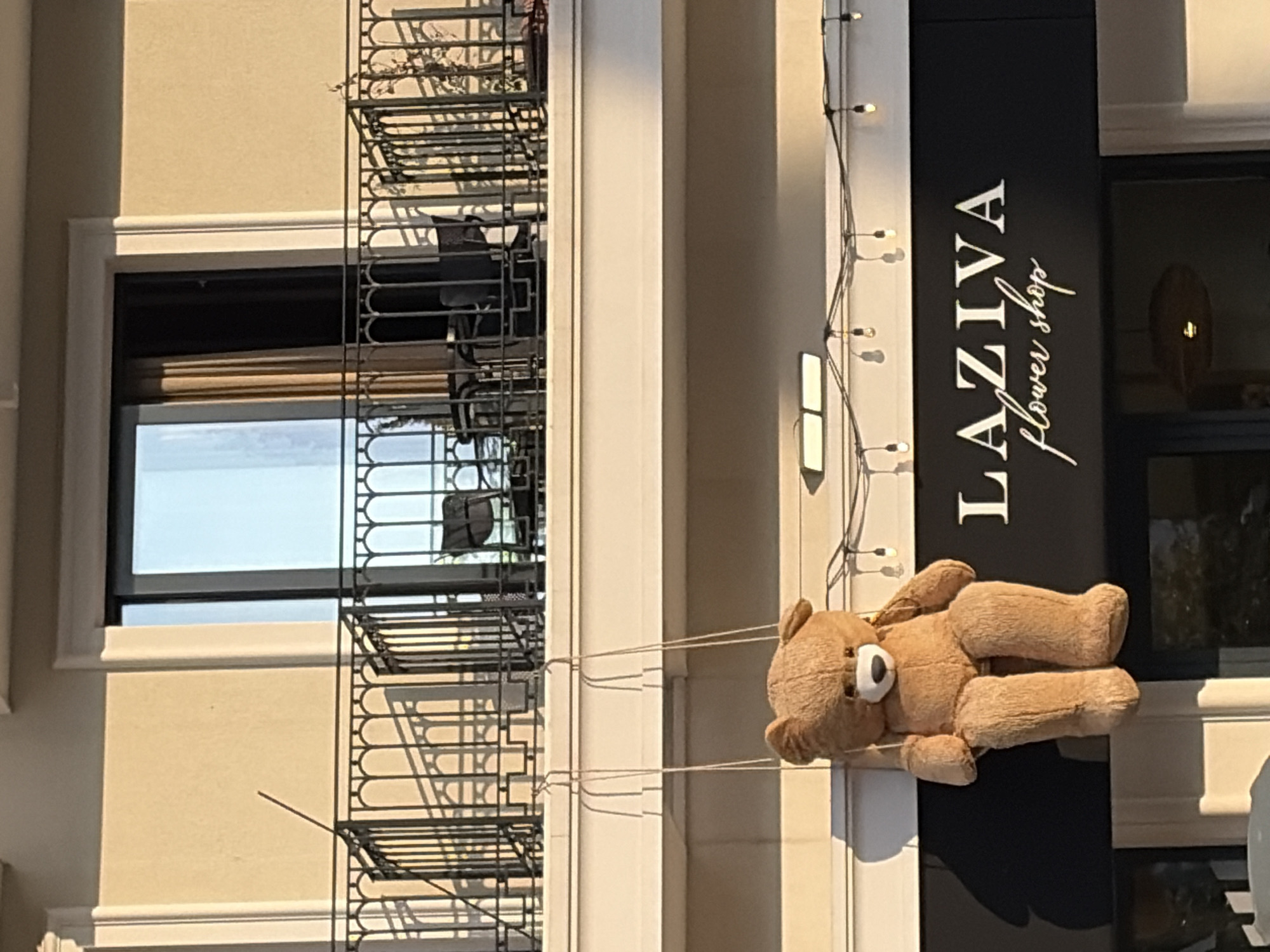 The image, originally rotated 90 degrees clockwise, displays a building facade in Budva, Montenegro, bathed in bright sunlight. The main subject is a large, light brown teddy bear with white eyes, suspended by thin white strings. These strings appear to be attached to a string of decorative light bulbs running vertically down the building's cream-colored wall, creating the impression that the bear is hanging or climbing.
To the left of the teddy bear, a prominent black sign with white lettering reads "LAZIVA" in a serif font, followed by "flower shop" in a cursive script. Below and to the left of the sign, part of a dark window is visible, reflecting a bright, clear sky.
Further to the left, the building features an ornate black metal balcony railing with intricate patterns. Windows behind the railing also reflect the bright sky, suggesting an open view. The building's walls are a light cream or beige, accentuated by white decorative trim around the windows and beneath the balcony. Strong, direct sunlight casts sharp, well-defined shadows from the teddy bear, the string lights, and the balcony railing, indicating a sunny daytime. The overall scene captures a whimsical element on an otherwise classic urban building.