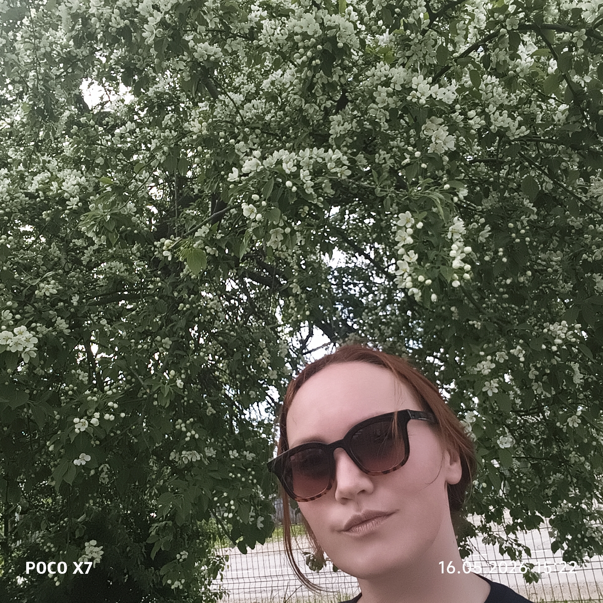 A woman with red hair and wearing sunglasses stands in front of a tree in full bloom with white flowers. She is positioned in the lower portion of the frame, facing the camera. Behind her is a lush tree canopy filled with numerous white blossoms and green leaves. A chain-link fence is visible in the background. The image was taken with a POCO X7 camera, and the timestamp "16.05.2026 15:22" is overlaid in the bottom right corner. The location is Chaikovsky, Russia.