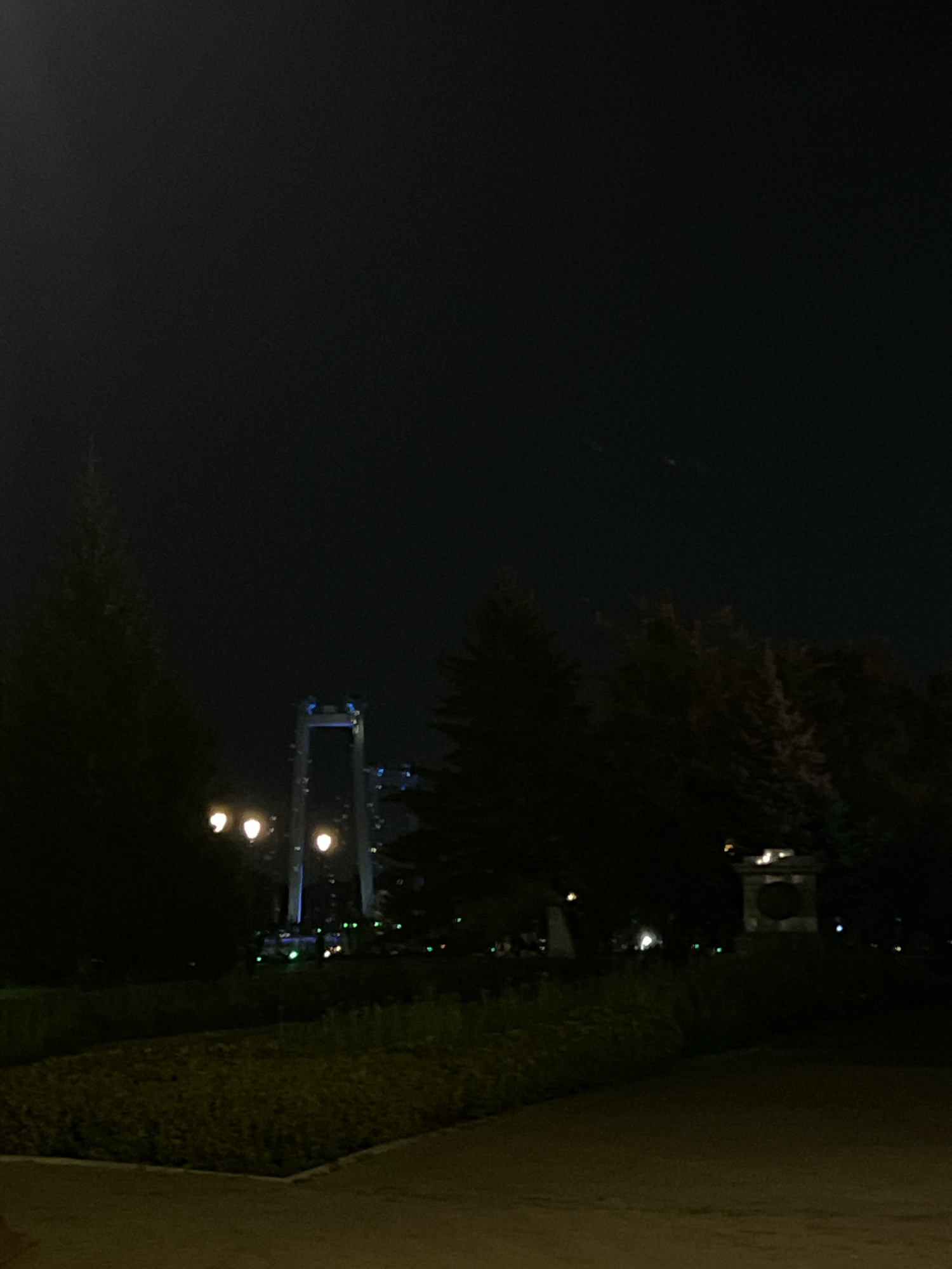 The image depicts a night scene in Krasnoyarsk, Russia, featuring the "Krasnoyarsk Bridge". The bridge, illuminated with blue and white lights, is the central focus. Several trees, silhouetted against the dark sky, surround the bridge. In the foreground, a park-like area with grass and a pathway is visible. Three streetlights with warm yellow illumination are positioned in the lower left quadrant of the image. The overall atmosphere is dark and nocturnal, with artificial lighting providing the primary illumination.