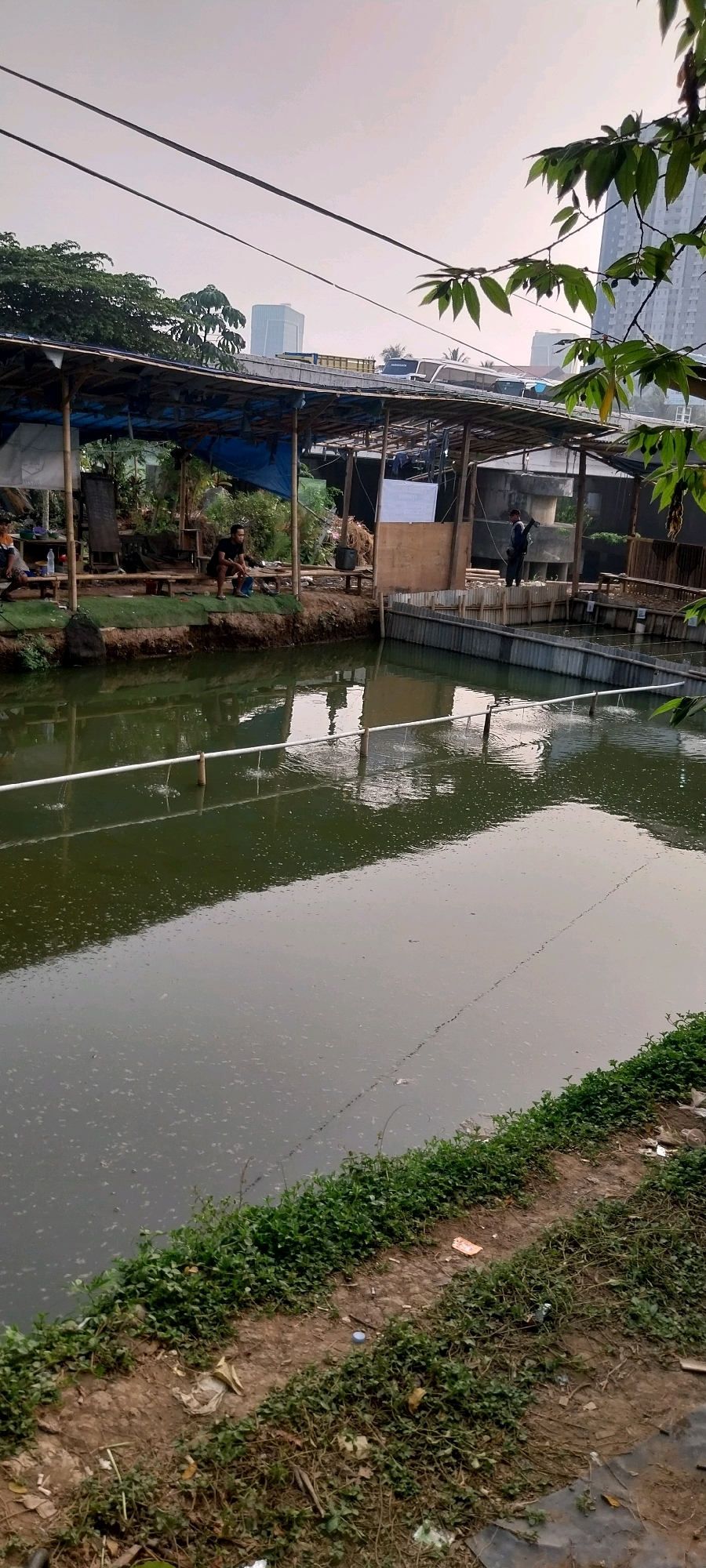 The image depicts an outdoor scene near a body of murky water, likely a fish pond or aquaculture facility, in Tangerang, Indonesia. In the foreground, the water's surface is disturbed by aeration systems, with several small bubbles rising. The water is bordered by a strip of green vegetation and a dirt path.
To the left, a rustic shelter with a blue tarp roof is supported by bamboo poles. Beneath this shelter, a man is seated on a bench, appearing to be resting. Another person is partially visible on the far left, also seated. In the background, beyond the pond and shelter, a tall modern building stands against a hazy sky, indicating an urban environment.
Further to the right, a raised platform or walkway constructed with corrugated metal and wooden elements extends over the water. A person in dark clothing is standing on this structure, holding what appears to be a fishing rod or a similar implement. Another section of a similar structure is visible further to the right. The overall impression is of a functional, somewhat unkempt, semi-urban fishing or aquaculture area. The presence of the modern building suggests proximity to a developed urban center within Tangerang.