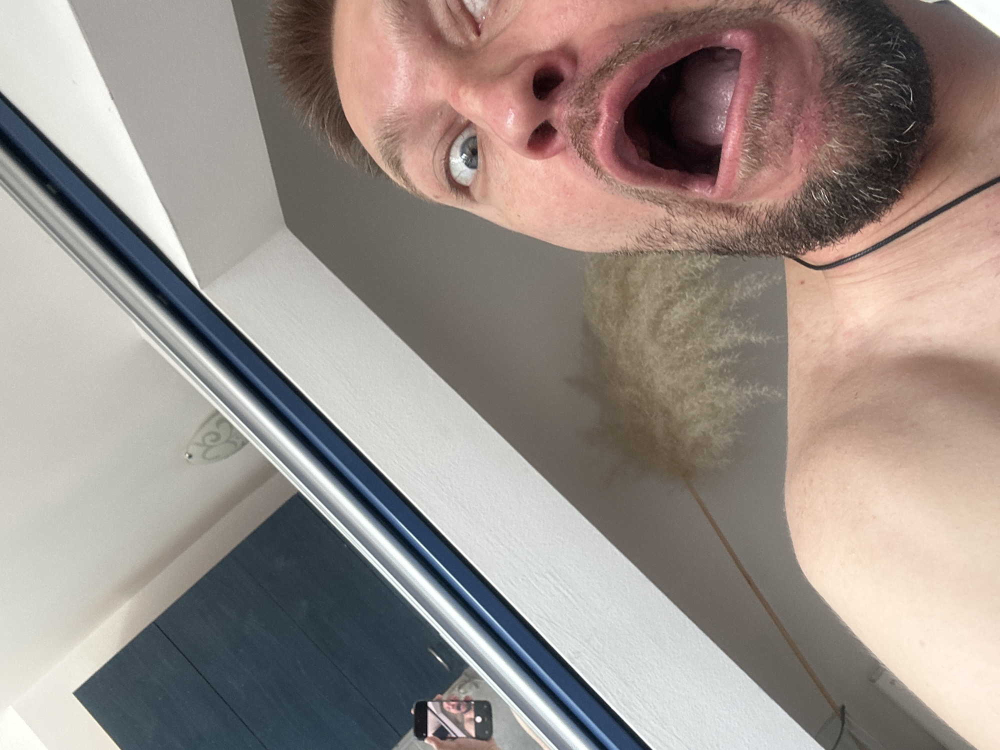 A close-up, low-angle selfie captures a man's face from the chin up, with his mouth wide open in an exaggerated expression. His eyes are wide open and looking upwards, with one eye slightly more visible than the other. He has short, brown hair and a dark, stubbly beard. A thin black string necklace is visible around his neck. The background is out of focus and appears to be an indoor setting, with a white wall and a dark blue cabinet visible in the reflection of a glass door or window. A fluffy, light-colored decorative item, possibly dried pampas grass, is also visible in the background. The lighting suggests it is daytime. The overall impression is one of playful surprise or excitement. The image is taken in Zvezdara Urban Municipality, Serbia.