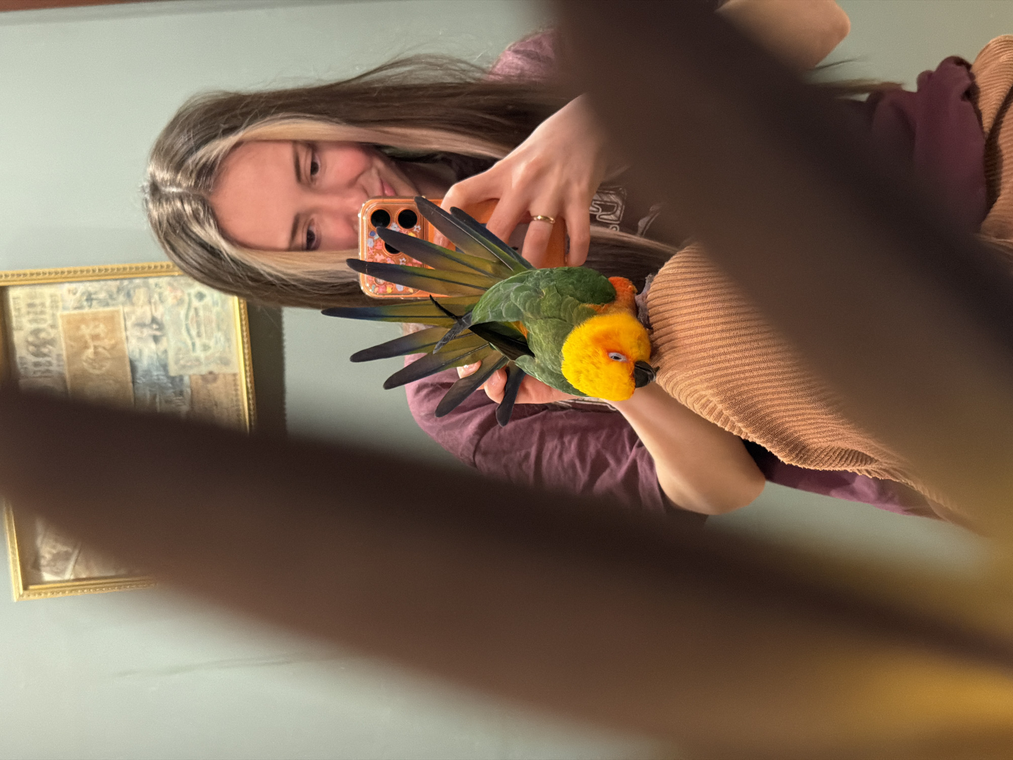 A woman is taking a selfie in front of a mirror with a Sun Conure perched on her left arm. The woman has long brown hair with blonde highlights framing her face, and she is wearing a maroon top. She is holding an orange phone with a floral case. The conure is predominantly yellow and green with blue tail feathers and a beak that is out of view due to the angle. The setting appears to be indoors, with a framed picture visible on the wall behind her. The mirror's edge is visible as a blur in the foreground. The location is not evident from the image.