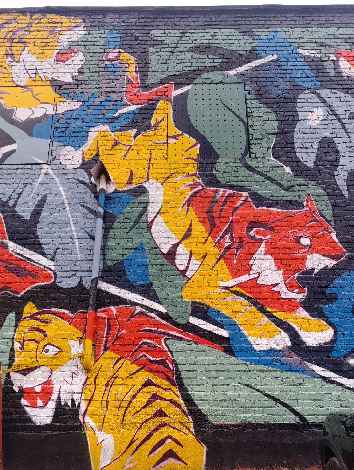 This media file showcases a vibrant outdoor mural painted on a brick wall, featuring multiple stylized tigers in a dynamic, pop-art aesthetic. The artwork is rich in bold colors, primarily bright yellows, reds, blues, and greens, with black outlines and white highlights.
The main subject is a large tiger in the middle, depicted in yellow and red with black stripes, appearing to leap or run towards the right, its mouth open in a fierce expression. Another tiger, yellow and red, is visible at the bottom left, also with an open mouth, facing slightly forward. A third, partially visible tiger in yellow and white is situated at the top left. The background consists of abstract shapes in shades of green, blue, and black, possibly representing foliage or natural elements.
The mural is painted directly onto a brick wall, with the texture of the bricks clearly visible beneath the paint, contributing to the artwork's character. A grey and black drainpipe runs vertically through the middle of the mural, partially obscuring the central tiger. A portion of a dark-colored vehicle is visible at the bottom right corner of the frame. The scene is bathed in bright daylight, suggesting sunny weather. The overall impression is one of energetic and striking street art. There is no visible text within the image.