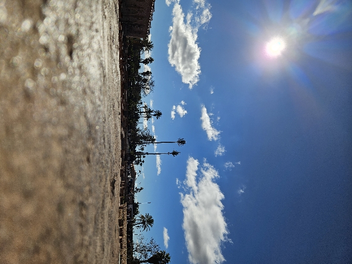 A sun-drenched scene shows a blue sky filled with scattered white clouds. The sun shines brightly at the top. Silhouetted palm trees line the horizon between the sky and a blurry, out-of-focus foreground. The perspective is low, emphasizing the sky and trees. The ground is a light brown color.