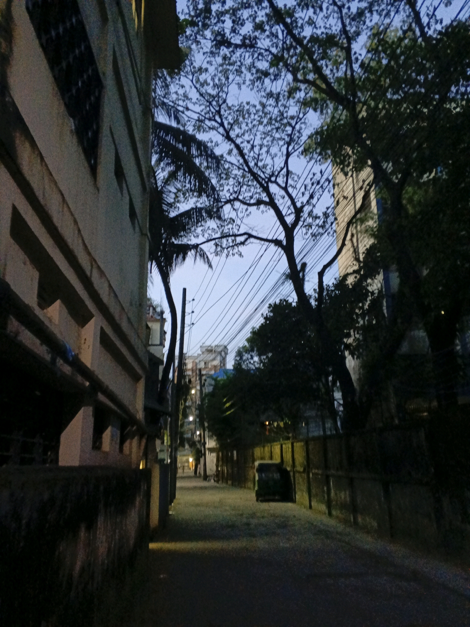 The image depicts a narrow street in Sylhet, Bangladesh, at dusk. On the left side of the street is a building with a textured, light-colored facade and prominent horizontal architectural elements. A palm tree is visible to the right of this building, its fronds arching over the street. The sky is a deep blue, indicating twilight, with a network of overhead wires crisscrossing the view. Tall trees with dense foliage are scattered throughout the scene, obscuring parts of the sky and adjacent structures. Further down the street, several multi-story buildings are visible, some with their windows illuminated. A dark-colored van or small SUV is parked on the right side of the street, alongside a fence. The street itself is paved and appears wet, with patches of grass or weeds growing along its edges. The overall atmosphere is quiet and somewhat desolate, characteristic of an urban street at the end of the day.