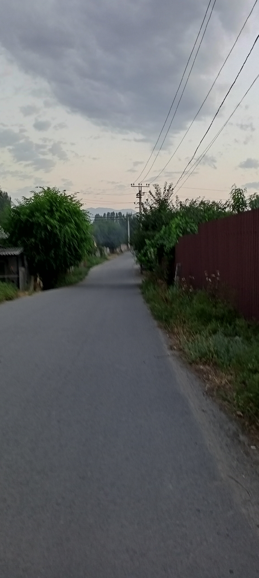 The image depicts a rural road in the city of Sokuluk, Kyrgyzstan, under a cloudy sky. The road is asphalt and curves slightly to the left as it recedes into the distance. On the left side of the road, there is a lush green tree and a small wooden structure. The right side of the road is bordered by a tall, reddish-brown corrugated metal fence. Beyond the fence, there are dense green trees. In the background, a power pole with multiple wires is visible, along with more trees and distant mountains. The overall scene suggests a peaceful, possibly early morning or late afternoon setting. There are no people or animals visible in the image, and no actions or interactions are occurring.
