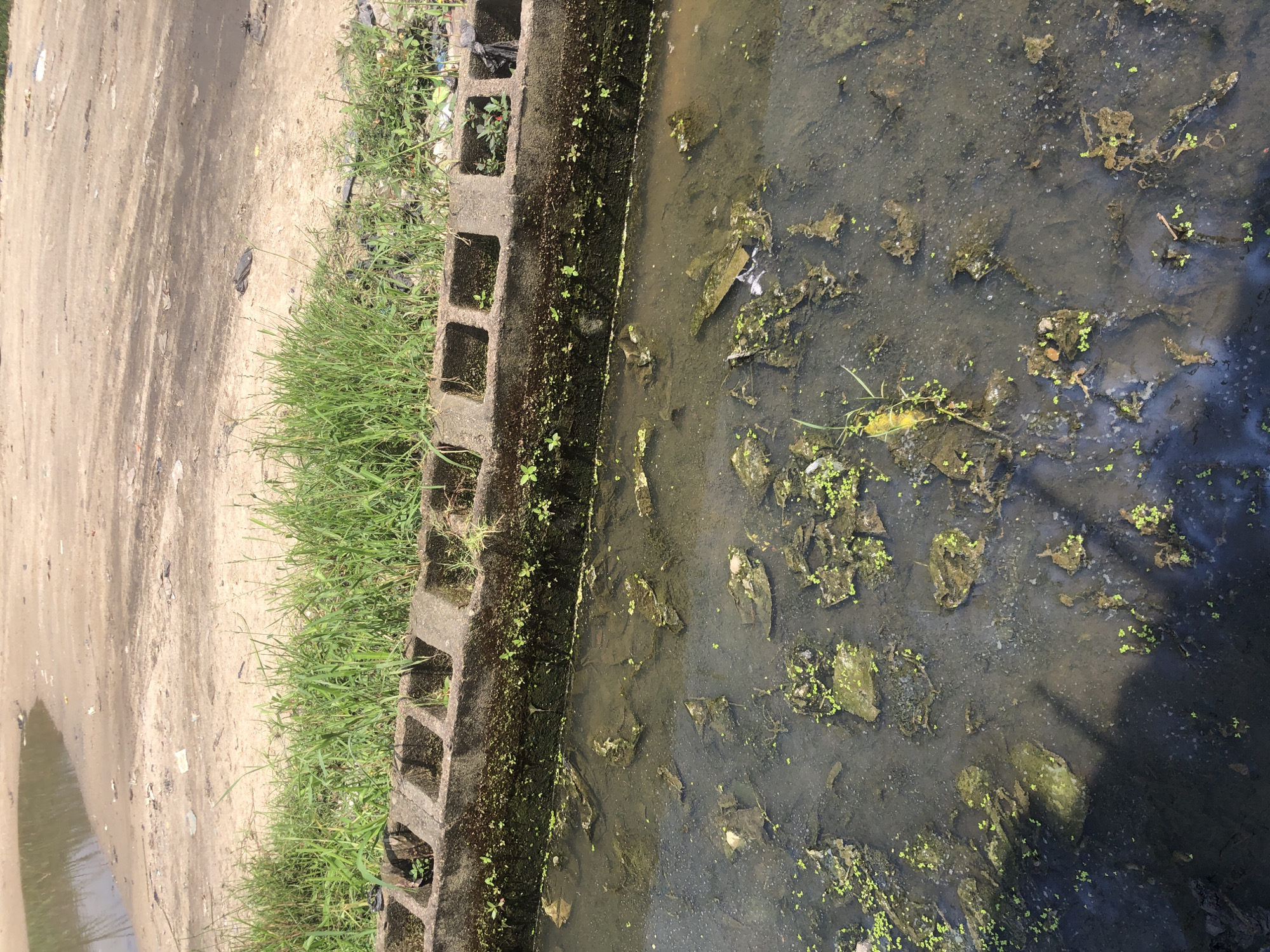 The image shows a section of a concrete drainage channel filled with murky water, debris, and green algae. The channel has a row of square openings along its top edge, and patches of grass grow around it. In the background, a sandy area with scattered litter and a reflection of what appears to be water can be seen. The scene is located in Ado, Nigeria.