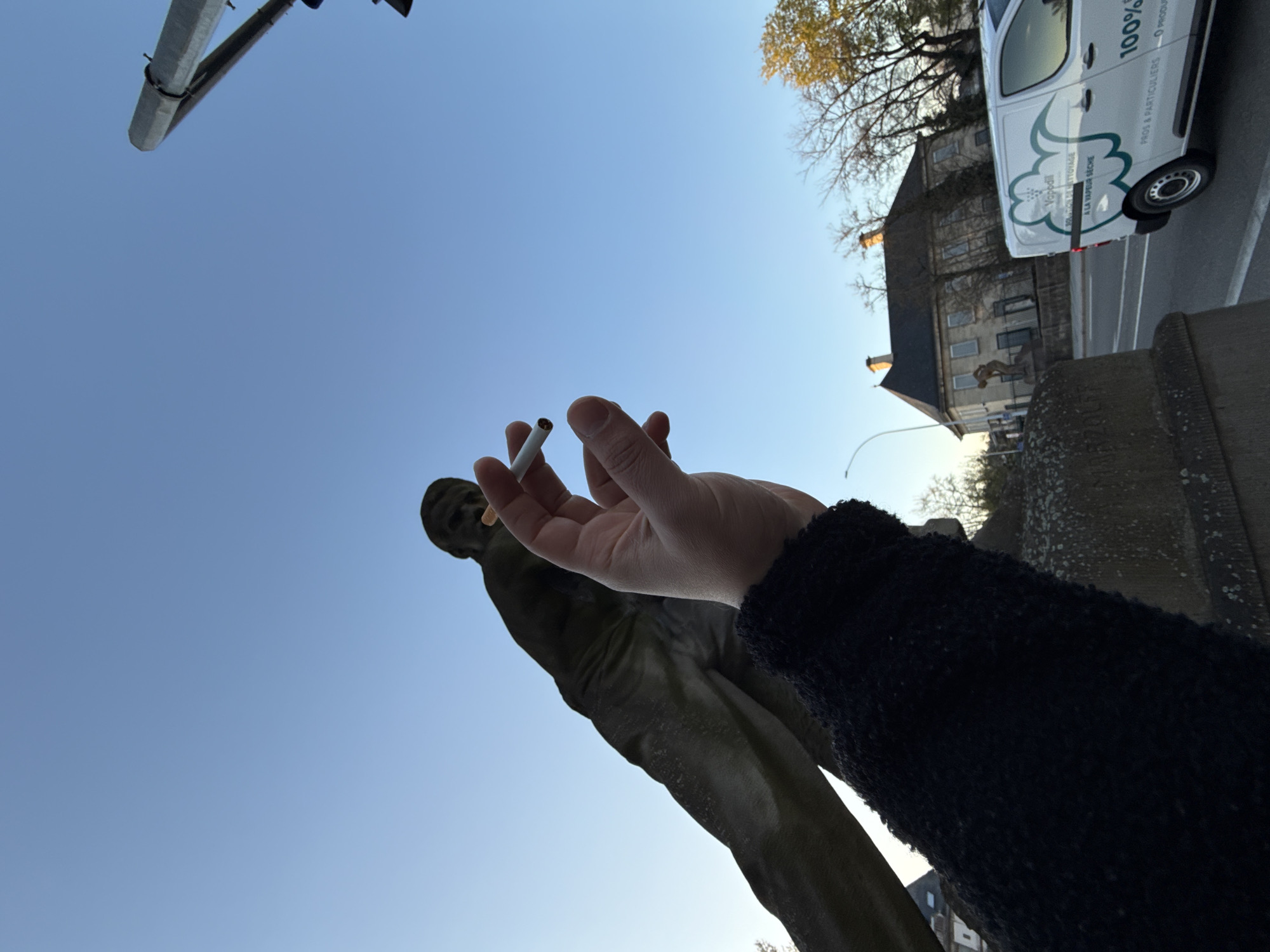 The image depicts an outdoor urban scene in Strasbourg, France, specifically at the Pont National. In the immediate foreground, a person's left arm, covered by a dark, textured black sleeve, extends upwards. The hand holds a lit cigarette between the thumb and index finger; the cigarette features a white paper and an orange-brown filter.
Directly behind the hand, a large stone statue, identified as "Le Rhin" by Alfred Marzolff, is prominently featured from a low-angle perspective. The statue portrays a muscular, nude male figure, with its upper body and head silhouetted against a clear, bright blue sky.
Beyond the statue and the road surface (not explicitly visible but implied by context), a white commercial van marked with the "Vapodill" logo and text "SOLUTION DE NETTOYAGE A LA VAPEUR SÈCHE," and "PROS & PARTICULIERS," is positioned. In the background, a multi-story building with a dark pitched roof and light-colored stone facade is visible, flanked by deciduous trees with some bare branches and some autumn foliage. A partial view of a grey octagonal streetlamp post is present on the far right. The scene is illuminated by natural daylight.