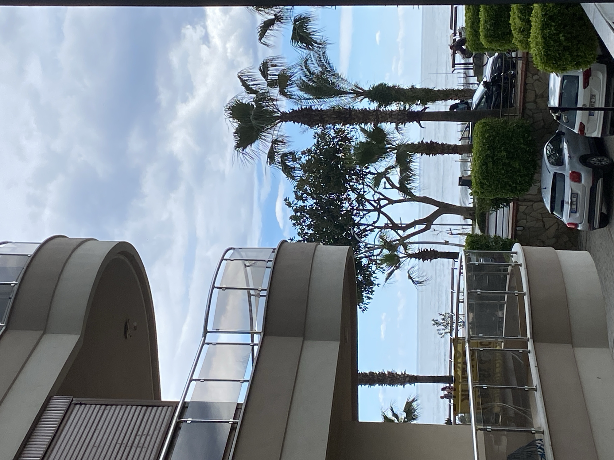The image shows a view from a building in Alanya, Turkey. The perspective is of an exterior setting, with a clear blue sky and scattered clouds overhead. Palm trees are prominent, with their trunks extending upwards and their fronds reaching towards the sky. Below them, a medium-sized tree is visible.
The foreground is dominated by the curved architecture of the building itself, featuring rounded walls and glass paneling. In the background, the sea is visible. Along the edge of the water, a small railing or fence can be seen. Further back on the land, there are green bushes and a few parked cars, two of them being silver and white.