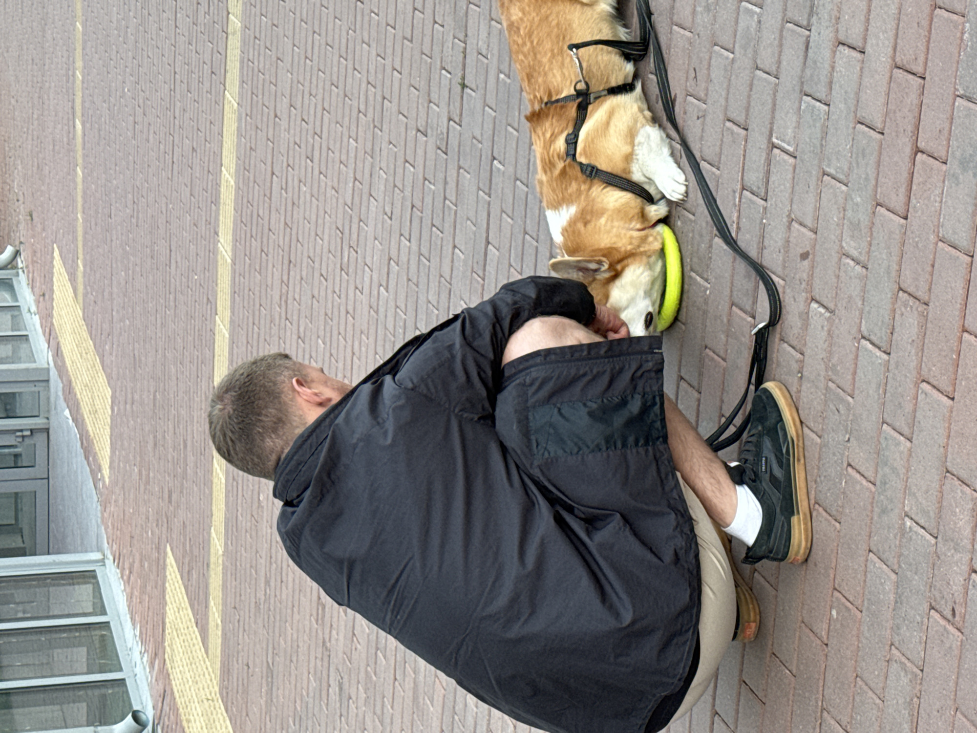 A person wearing a black jacket and beige shorts is crouching on a brick sidewalk next to a corgi dog. The dog is lying on its side with its head in a yellow frisbee. The person's hand is near the dog's head. The background shows a building with large glass windows and yellow tactile paving on the sidewalk. The image is taken outdoors in what appears to be a public space. The location is identified as the city of Krasnoyarsk, Russia.