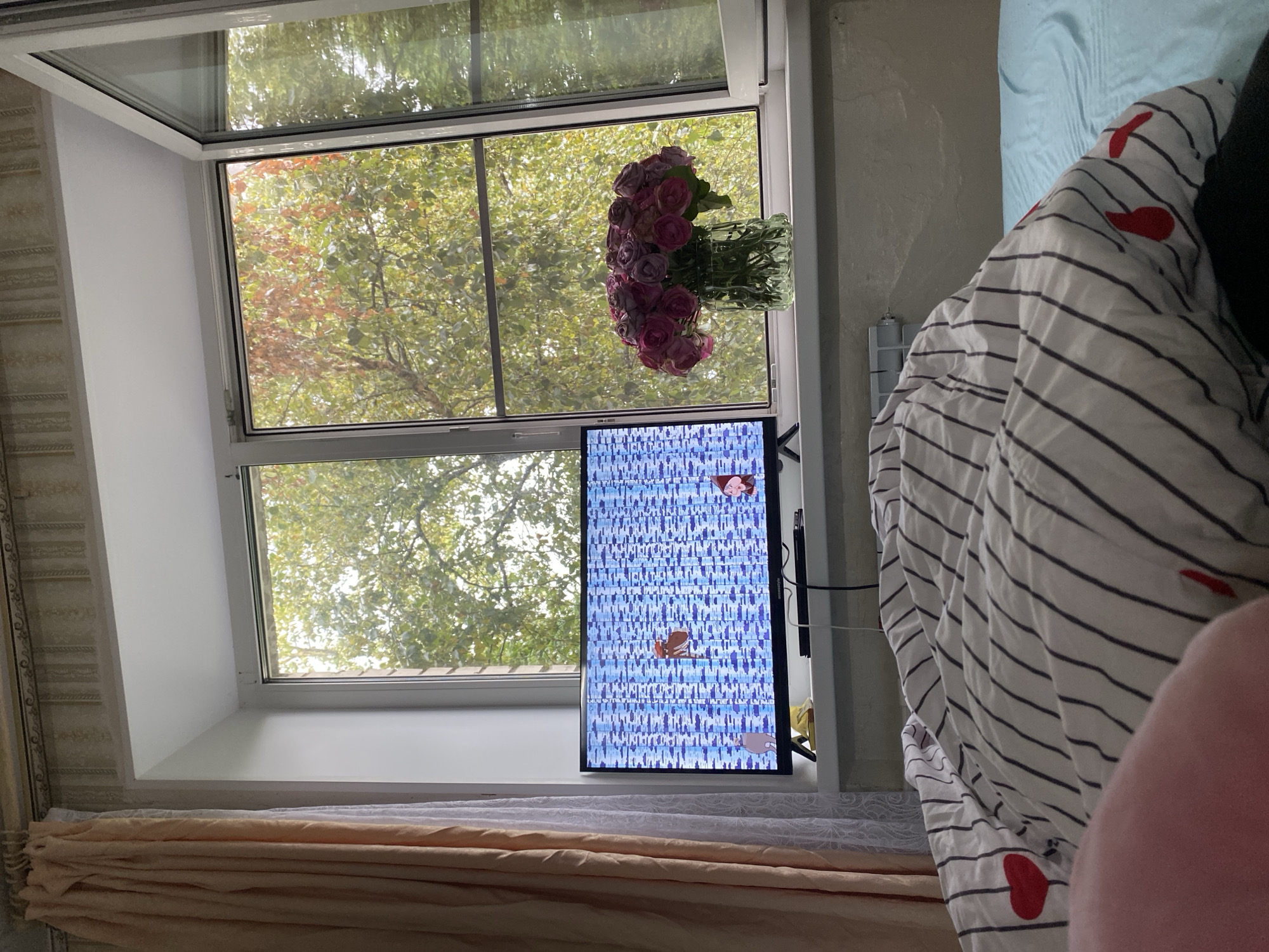 A television screen displays a glitching image of cartoon characters on a windowsill, to the left of an open window. The window looks out onto trees with autumnal foliage. A vase of pink and purple roses sits on the windowsill to the right of the television. A beige curtain hangs to the left of the window. A bed with striped bedding is in the foreground. The scene appears to be indoors, likely a bedroom, in the city of Lomonosov, Russia.