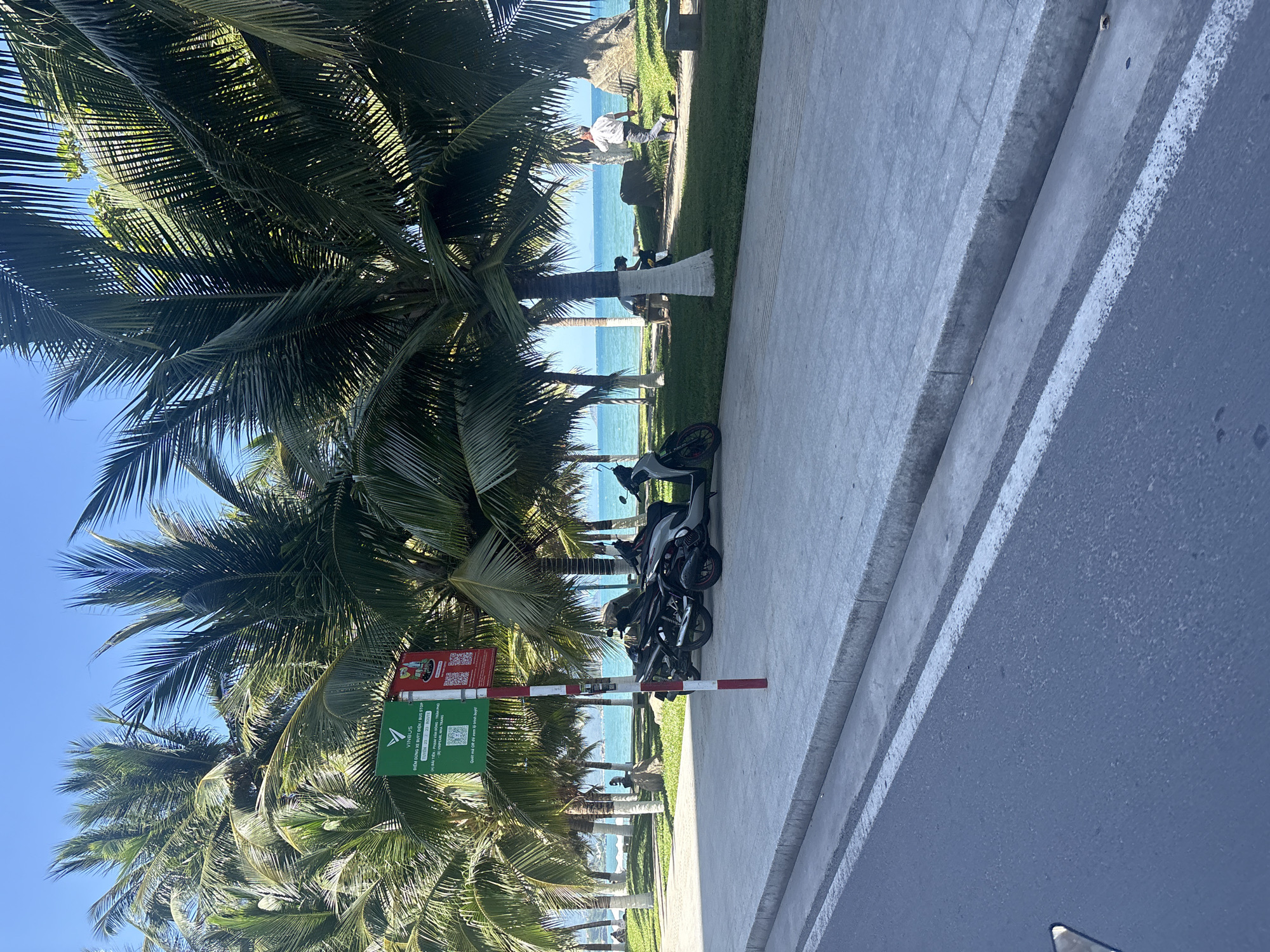 The image captures a street scene in Nha Trang, Vietnam. Palm trees dominate the left side, their fronds creating a canopy. A VinBus stop sign is visible among the trees. Two parked motorbikes are near a sidewalk. Beyond the trees and the sidewalk, the ocean is visible under a clear blue sky. People can be seen near the beach. The photograph is taken from an oblique angle, showing the edge of a street or road with a white dividing line.
