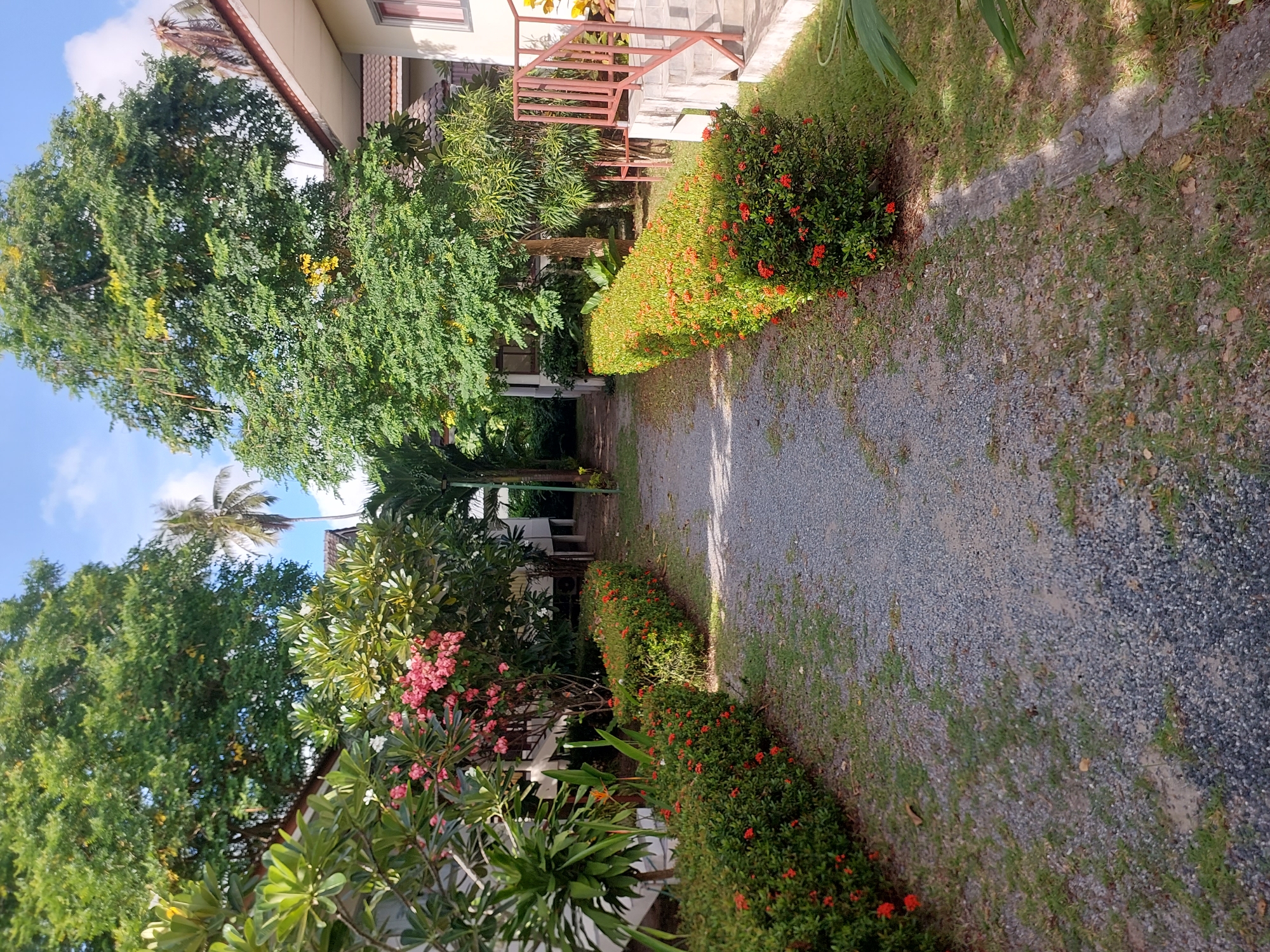 The image shows a gravel pathway lined with manicured green hedges featuring small red flowers. On the left side of the path, there are buildings with white walls and red-tiled roofs, surrounded by lush green foliage and flowering plants with pink blooms. On the right side, a building with a white exterior and red railing leads up a set of stairs. Tall trees, including a palm tree, are visible in the background, and the sky is blue with scattered clouds. The scene appears to be a well-maintained garden or resort area in a tropical location, likely in Baan Mae Nam, Thailand, given the vegetation and architectural style. There are no people visible in the image.
