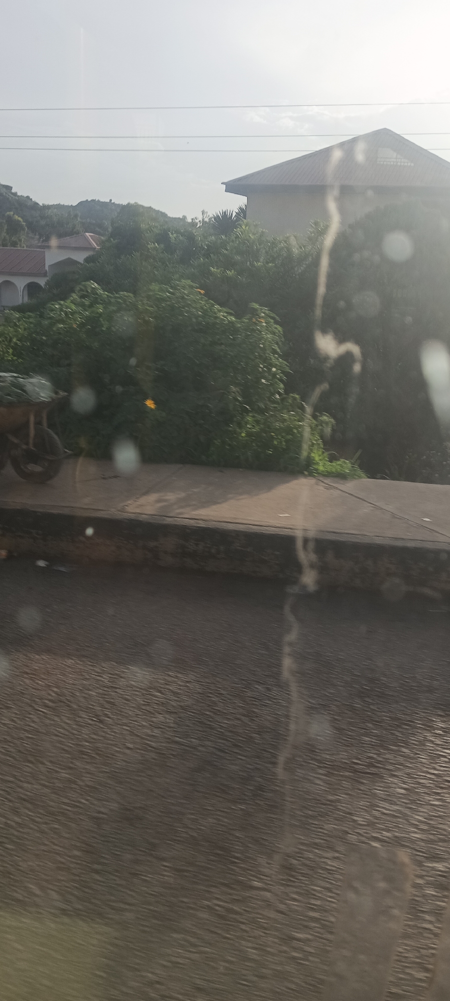 The image provides a bright, sunny daytime view of a roadside scene, likely captured from a moving vehicle, with significant lens flare and smudges on the glass. The location appears to be a verdant, semi-urban or rural area, consistent with Gura Top, Nigeria.
In the foreground, a dark, textured road surface is visible, bordered by a concrete curb and an unpaved shoulder. On the far left, part of a wooden cart or wheelbarrow, laden with green foliage possibly covered by a net, is seen.
The mid-ground is filled with dense, lush green trees and bushes, indicating abundant vegetation. A single vibrant yellow flower stands out amidst the greenery. Behind the trees, several houses with prominent brown or reddish tiled roofs are visible. One house on the left features distinct arched architectural elements, while another on the right has a clear gabled roofline.
The background consists of a bright, hazy sky, suggesting strong sunlight. Faint power lines or utility cables stretch horizontally across the upper portion of the sky, with distant hills subtly discernible on the left horizon.
The weather is clear and sunny. The image itself is affected by bright lens flare, particularly from the upper right, and noticeable smudges or dust particles on the lens or window, which create blurry spots and streaks across the frame. No people are visible, and there is no discernible text within the image. The scene conveys a calm, natural environment.