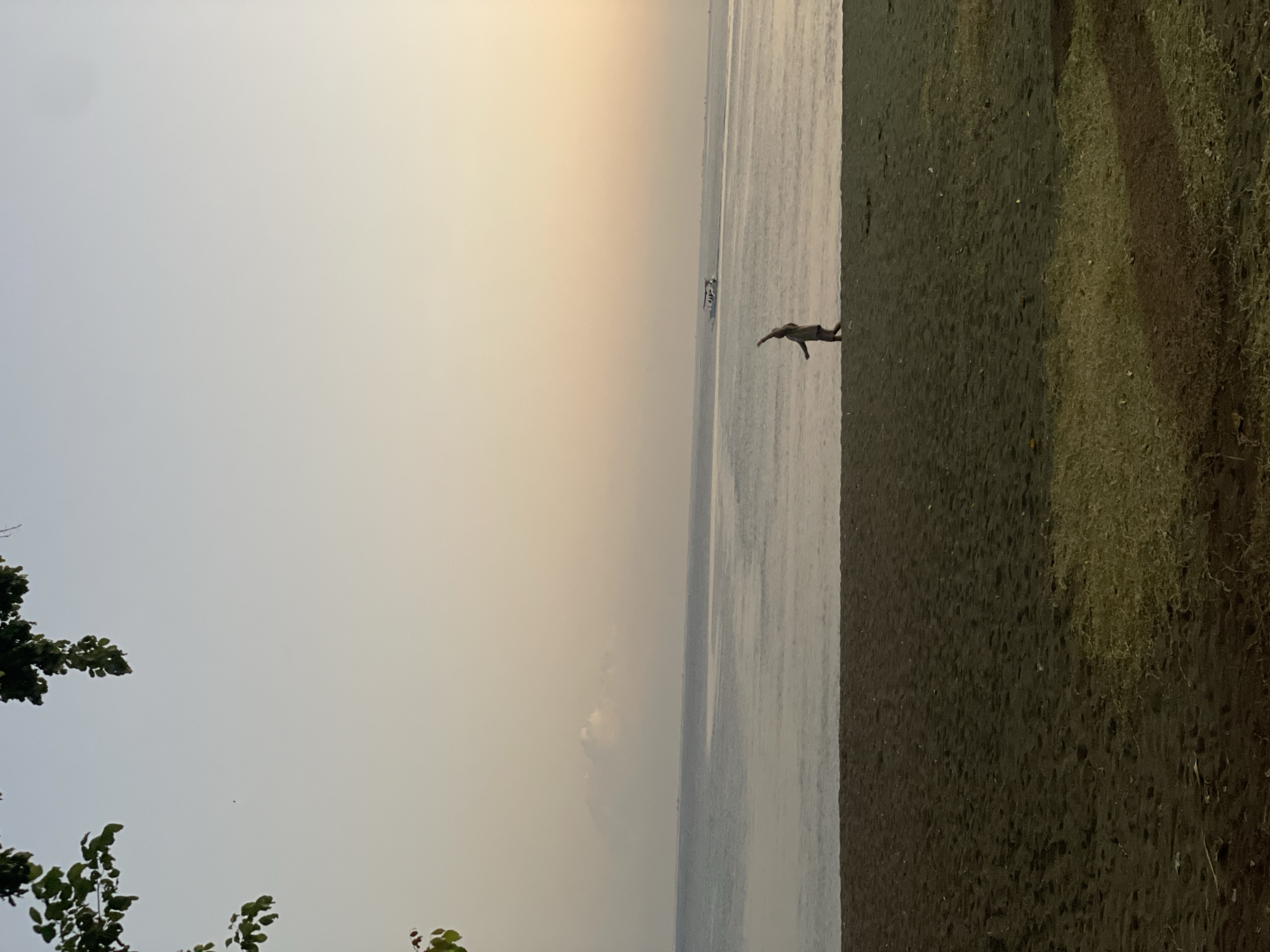The image depicts a serene beach scene in Buleleng, Indonesia, during what appears to be sunrise or sunset. A person is captured in motion on the dark sand beach, with one arm raised. In the background, the calm sea stretches towards the horizon, where a small boat is visible. Distant mountains are faintly discernible through the haze. The sky transitions from a pale yellow near the horizon to a soft blue overhead, with the silhouette of tree branches framing the upper left corner of the image. The overall atmosphere is tranquil and natural.