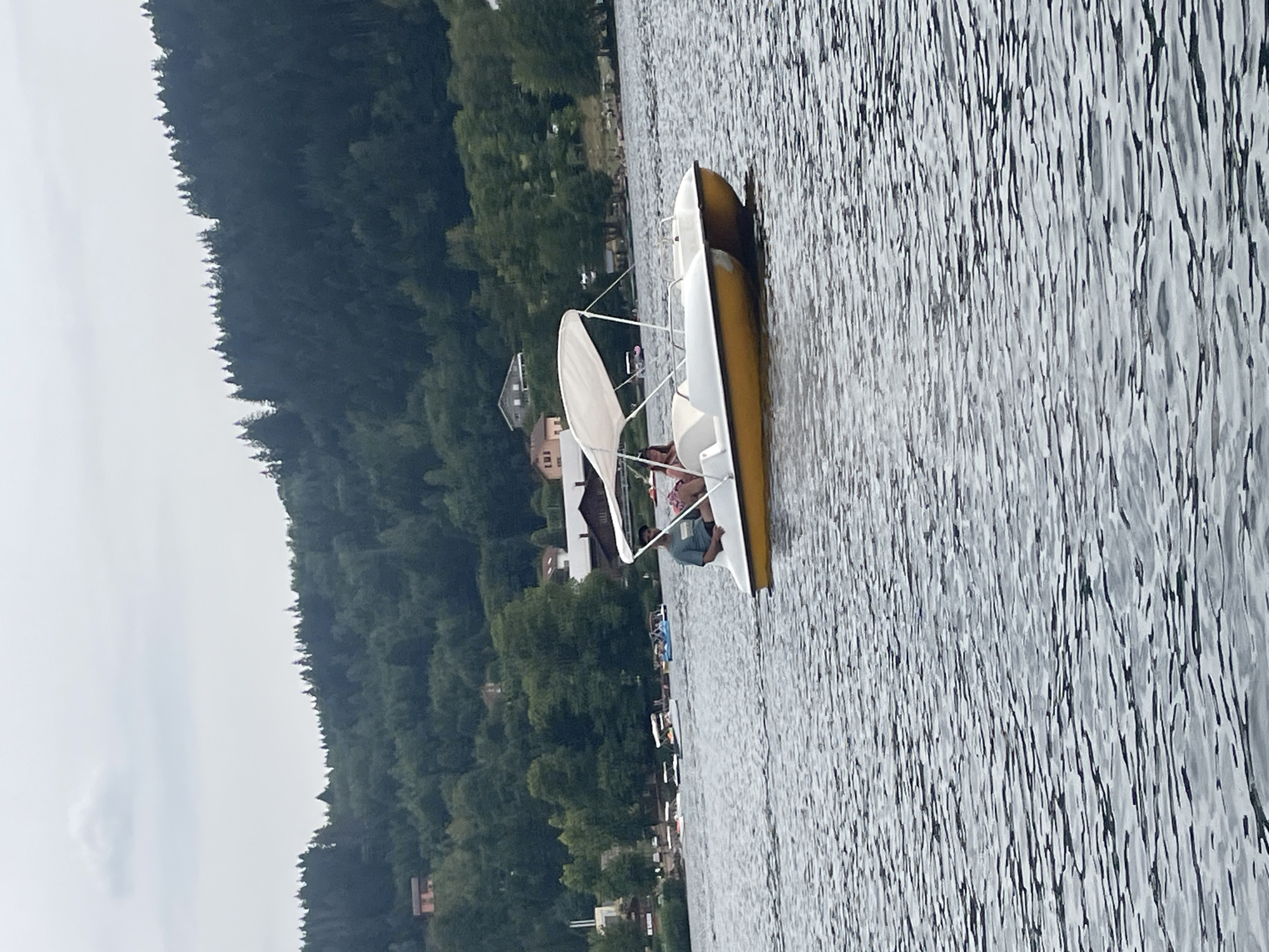 The image shows a lake with several pedal boats and a larger boat with a canopy. In the foreground, a yellow and white pedal boat is occupied by two individuals, a man and a woman. The man is steering the boat, while the woman is seated beside him. The lake is surrounded by a lush green forest, with houses and buildings visible in the background. The sky is overcast. This scene is likely located in Gérardmer, France, as the pedal boats are a common sight on the lake there.