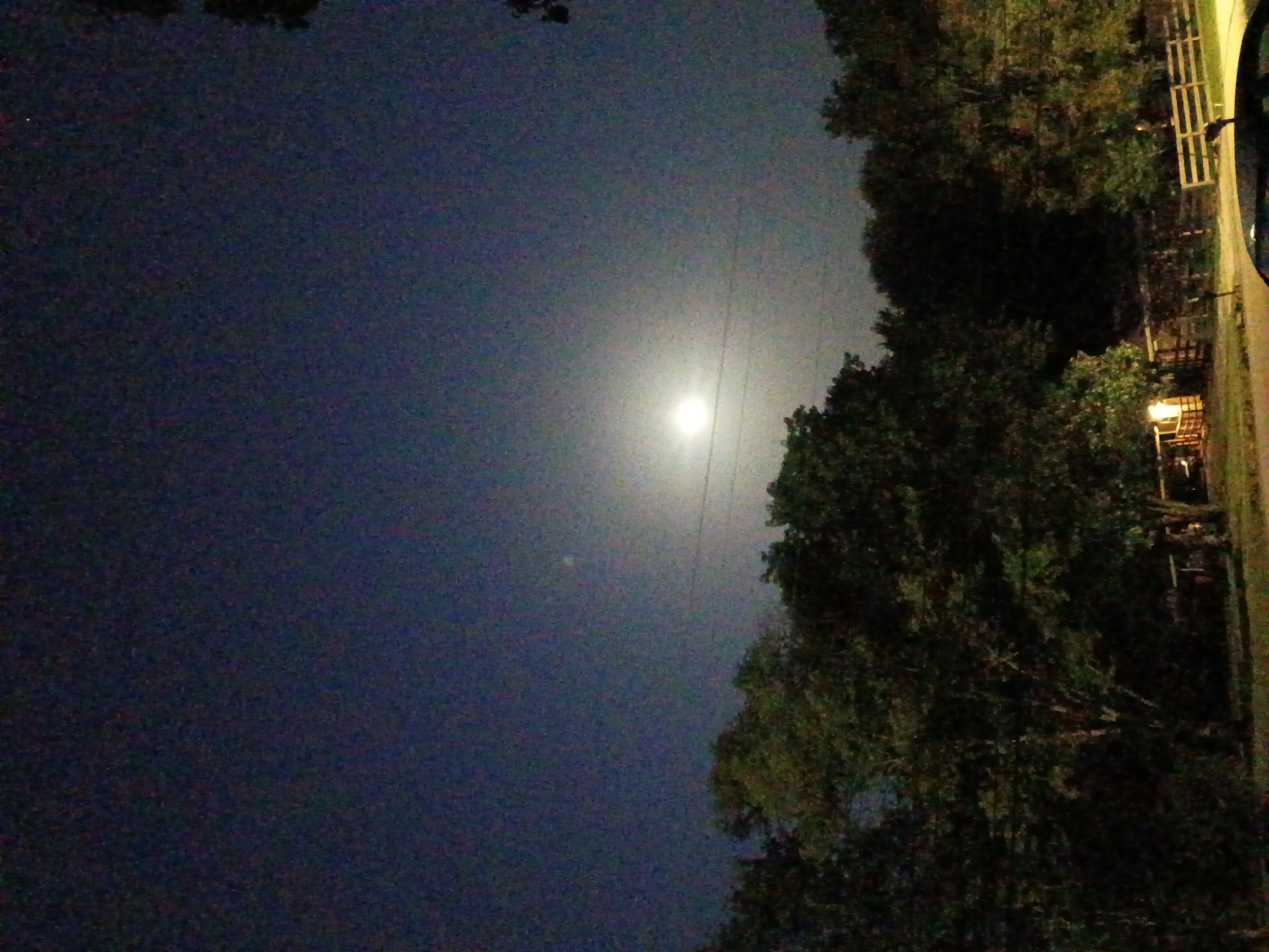 An outdoor, nighttime photograph captures a moonlit sky over a rural or suburban landscape. The sky is a deep blue, with a bright, slightly hazy full moon positioned in the upper-middle section of the frame. A faint halo surrounds the moon, suggesting atmospheric conditions or the camera's exposure. Below the sky, a dense line of trees stretches across the width of the image, their leaves and branches silhouetted against the moonlit sky. The trees appear to be a mix of deciduous types, with varying shades of green and dark brown.
In the lower part of the image, a small, illuminated structure is visible among the trees. It appears to be a small shed or outbuilding with a light on inside, casting a warm glow from its window. To the right of this structure, a wooden fence with horizontal rails runs along the ground. A portion of a dark-colored vehicle is visible in the foreground at the bottom right of the image, its silhouette suggesting it is parked or passing by. The ground in the foreground appears to be a road or driveway, with some grass and shadows. The overall impression is a serene, tranquil night scene, likely in a semi-rural area. The location is identified as Berea, United States of America.