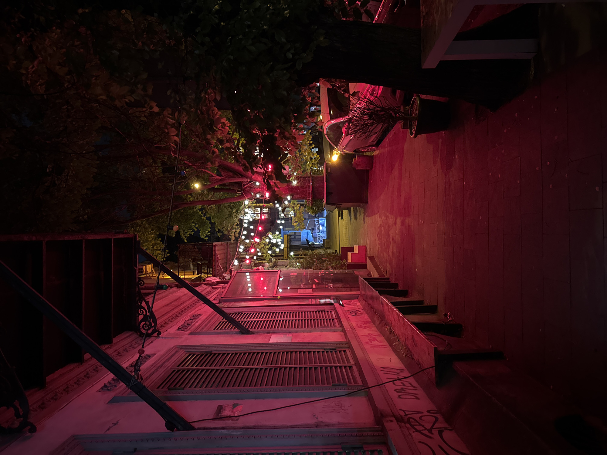 The image shows a narrow street in Tbilisi, Georgia, illuminated by red and white string lights. The street descends slightly, with steps on the right side. A building with closed shutters and some graffiti is on the left, with stairs next to it. In the distance, there's a glimpse of blue lighting. A tree hangs over the street, and a car is parked on the right. A plant is placed next to the car.