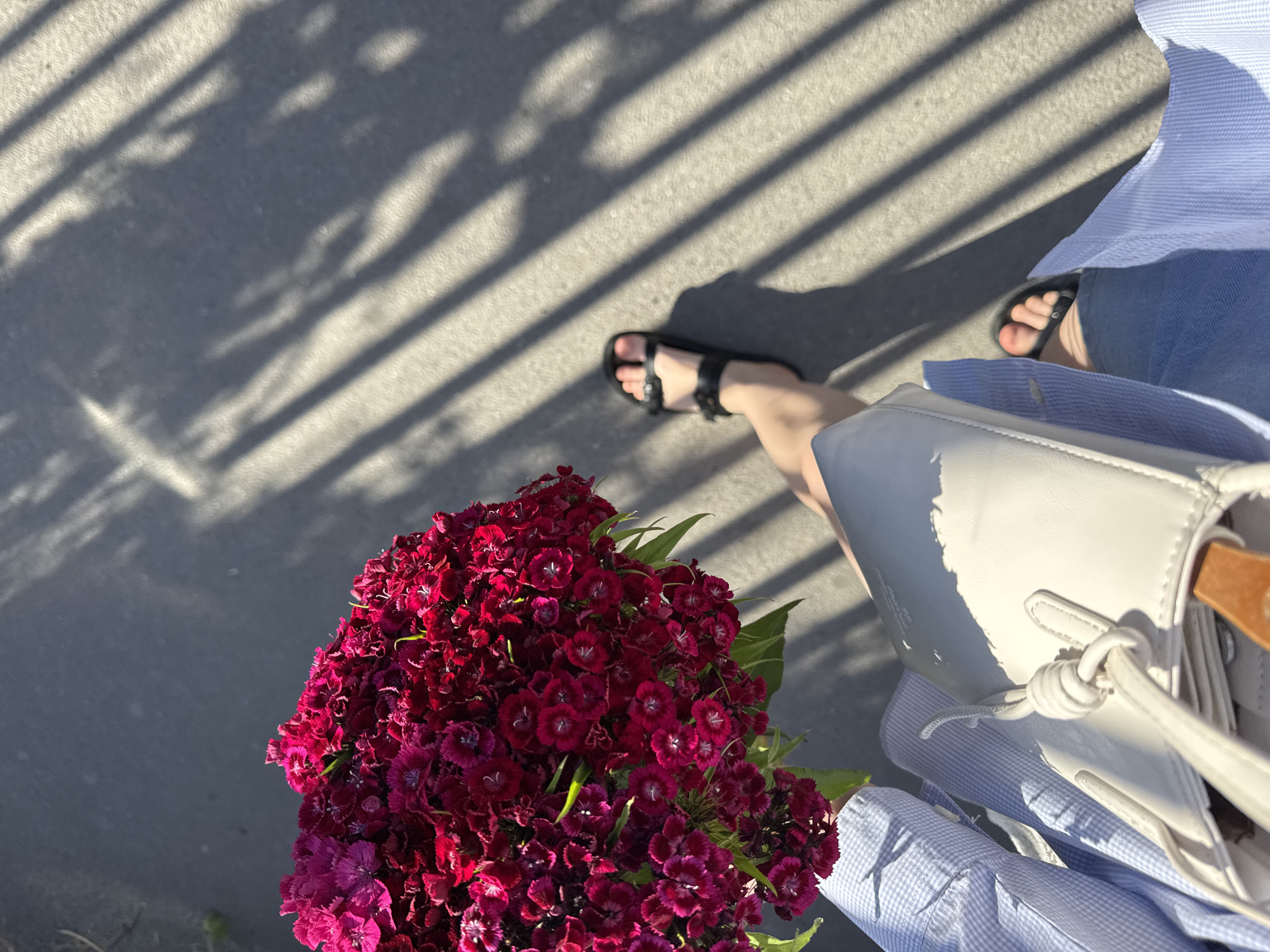 A top-down shot shows a person standing on a grey concrete surface in a location appearing to be within the Vracar Urban Municipality, Serbia, as indicated by contextual clues. The person is holding a bouquet of deep red carnations with green leaves. They are wearing black strappy sandals, light blue denim shorts, and a light blue and white gingham shirt. A white shoulder bag with a knotted strap detail and a wooden handle is slung over their shoulder. The scene is cast in bright sunlight, with sharp shadows of what appears to be a barred fence or structure overlaying the concrete and partially covering the person's legs and the floral bouquet. The composition and lighting suggest a summer day in an urban environment.