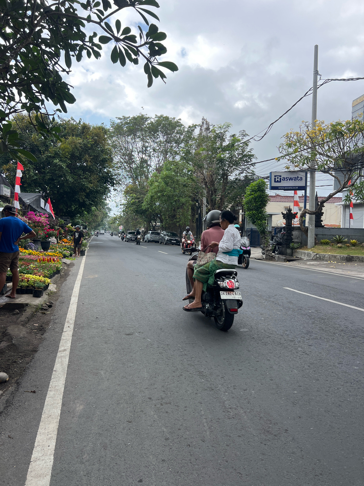In the city of Denpasar, Indonesia, a street scene unfolds under a cloudy sky. The paved road is bordered on the left by a sidewalk lined with numerous potted plants, some featuring vibrant pink and yellow blooms. Two men are present on this side of the road; one, wearing a blue t-shirt and shorts, stands with his hands on his hips, while another, in a black t-shirt and shorts, stands near the plants. Red and white Indonesian flags are visible on poles along the sidewalk.
The road itself is busy with traffic. A scooter carrying two people, a man in a reddish-brown shirt and a woman in a white top and green skirt, is the most prominent vehicle in the foreground, traveling away from the viewer. The scooter's license plate reads "DK 2824 ACB". Other vehicles, including motorcycles and cars, are seen further down the road, moving in the same direction. On the right side of the road, a building with a sign that says "H aswata" is visible, along with a street lamp and some trees. The environment suggests a commercial or residential area typical of Denpasar.