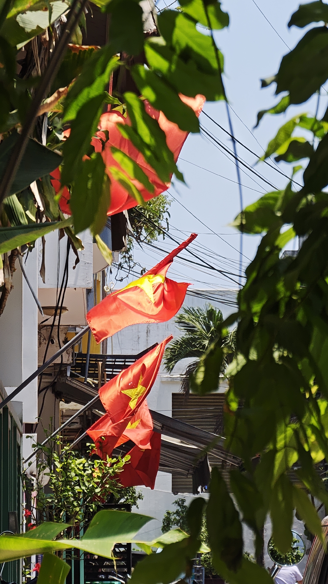 The image depicts a street scene in Đà Nẵng, Vietnam. Several Vietnamese flags are attached to poles extending from a building's facade. The flags are red with a gold star. Power lines are visible against the clear blue sky. Green foliage partially obscures the view in the foreground. In the lower part of the image there's a glimpse of parked motorcycles and vegetation. The building is predominantly white, with some metallic structures and shutters.
