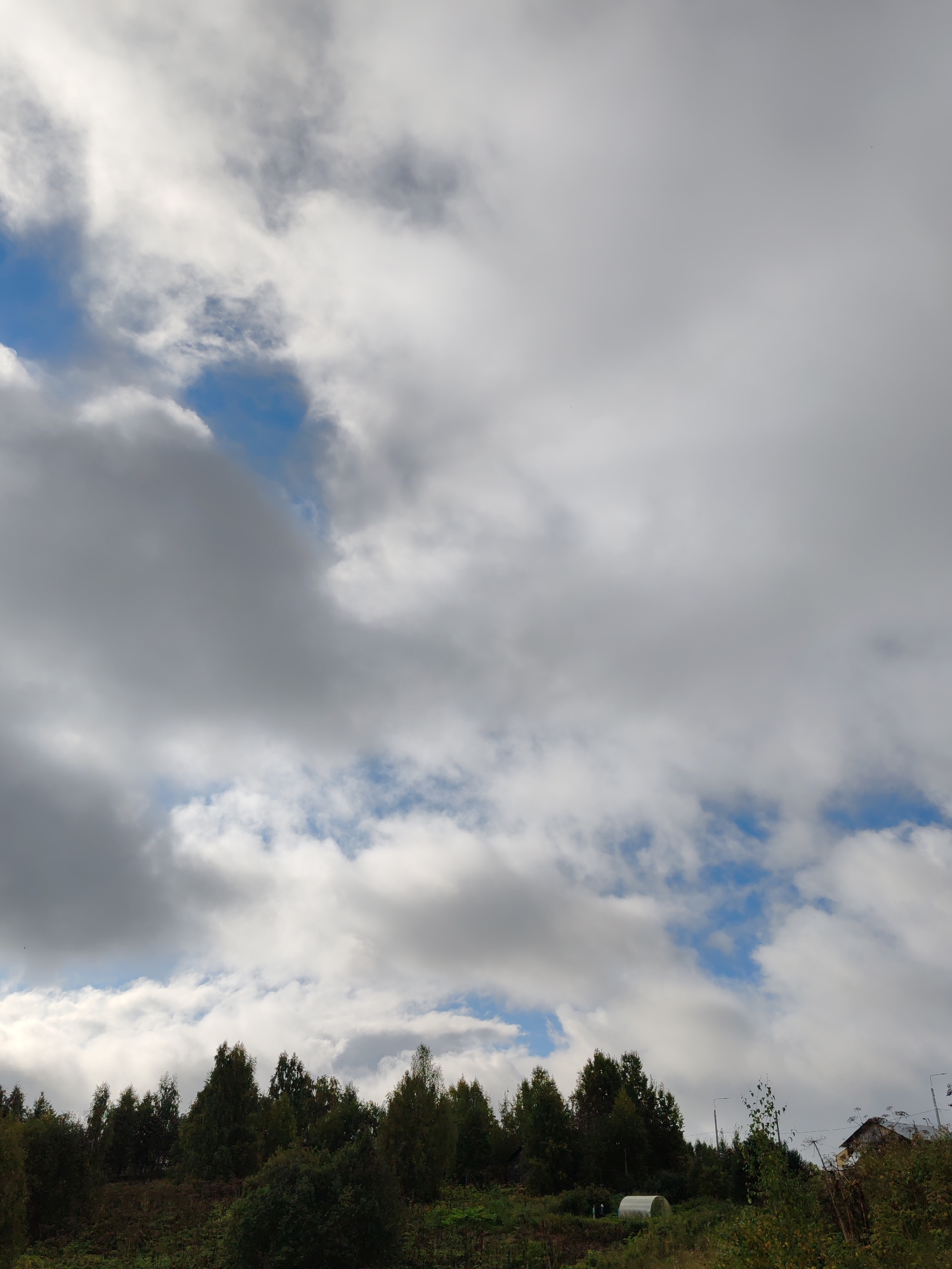 A landscape image captures a partly cloudy sky over a wooded area with some structures. The sky is dominated by large, fluffy white and grey clouds with patches of blue sky visible between them. In the lower portion of the image, a dense line of dark green coniferous trees stretches across the horizon. To the right of the trees, a simple, dark-colored building with a pitched roof is partially visible amongst the foliage, suggesting a rural or semi-rural setting. In the foreground, the ground slopes upwards and is covered with low-lying vegetation and some darker, possibly dead leaves. There is a small, arched greenhouse-like structure made of white plastic sheeting visible on the left side of the frame. The overall scene depicts an overcast day in a natural environment with man-made elements.