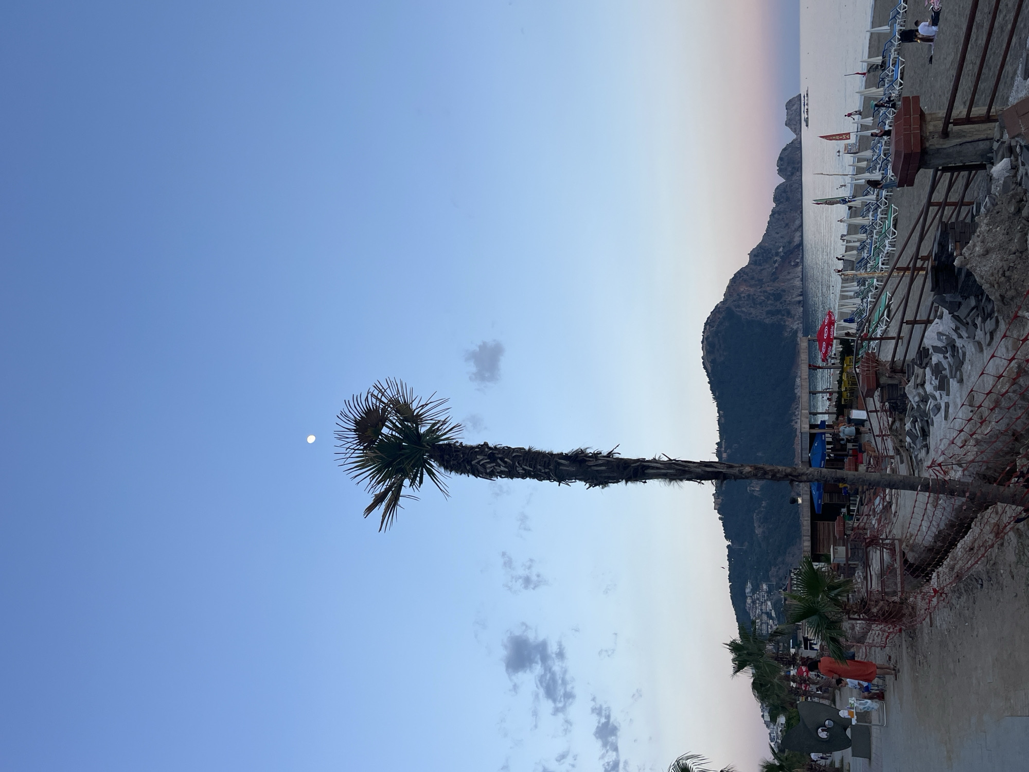 The image depicts a coastal scene in Alanya, Turkey. The horizon line is near the top of the frame, showing a body of water with a peninsula or promontory in the distance. Beach umbrellas and chairs are visible on the beach. A tall palm tree is prominently featured in the foreground, extending vertically from the bottom toward the sky. A small, faint moon is visible in the upper left of the sky. The sky transitions from a light blue to a light orange-pink hue near the horizon. Mountains are visible on the right side of the frame. A retaining wall or built-up area borders the beach, with evidence of construction or renovation visible. People are present, although they are small and not clearly distinguishable. The time of day appears to be dusk or early evening.