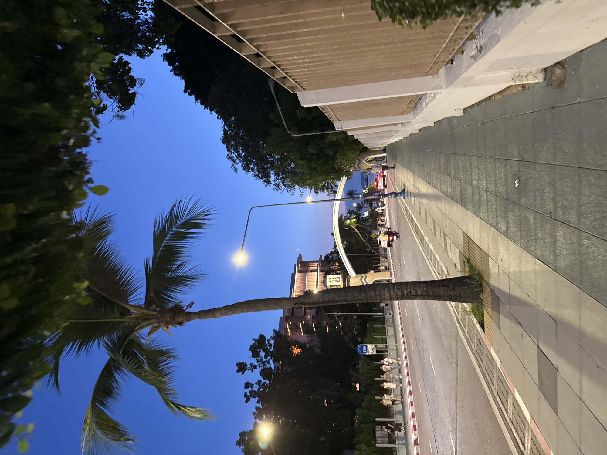 An eye-level, medium shot captures a palm tree standing in the foreground on the left side of a sidewalk. The tree's trunk is rough and dark, with its fronds extending upwards and to the left. The sidewalk is paved with gray tiles and features a tactile paving section near the road. The road, to the left of the sidewalk, is asphalt with white lane markings and a red and white striped curb. Several people are walking on the sidewalk and crossing the street. A light pole with a bright lamp stands on the sidewalk behind the palm tree. In the background, a large building with illuminated windows is visible, along with trees and an arched structure. A beige fence runs along the right side of the sidewalk, bordering a white wall. The sky is a deep blue, indicating dusk or early morning. The scene appears to be on Beach Road in Pattaya City, Thailand, given the typical scenery of palm trees, the beachfront road, and the style of buildings and fencing.