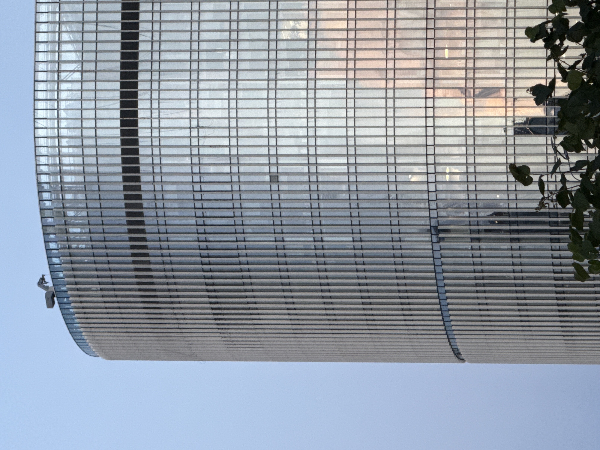 The image shows a close-up of the upper section of a modern, curved glass skyscraper in Moscow, Russia. The building's facade is composed of vertical, light-colored fins interspersed with large glass panels. The glass reflects the sky and surrounding environment, with hints of warm light suggesting either sunset or interior lighting. At the very top of the building, a small mechanical structure, possibly a crane or antenna, is visible against a pale blue sky. In the foreground, the dark green leaves of a tree or shrub partially obscure the lower portion of the skyscraper. The scene is devoid of people and focuses on the architectural details of the building and its interaction with the sky.