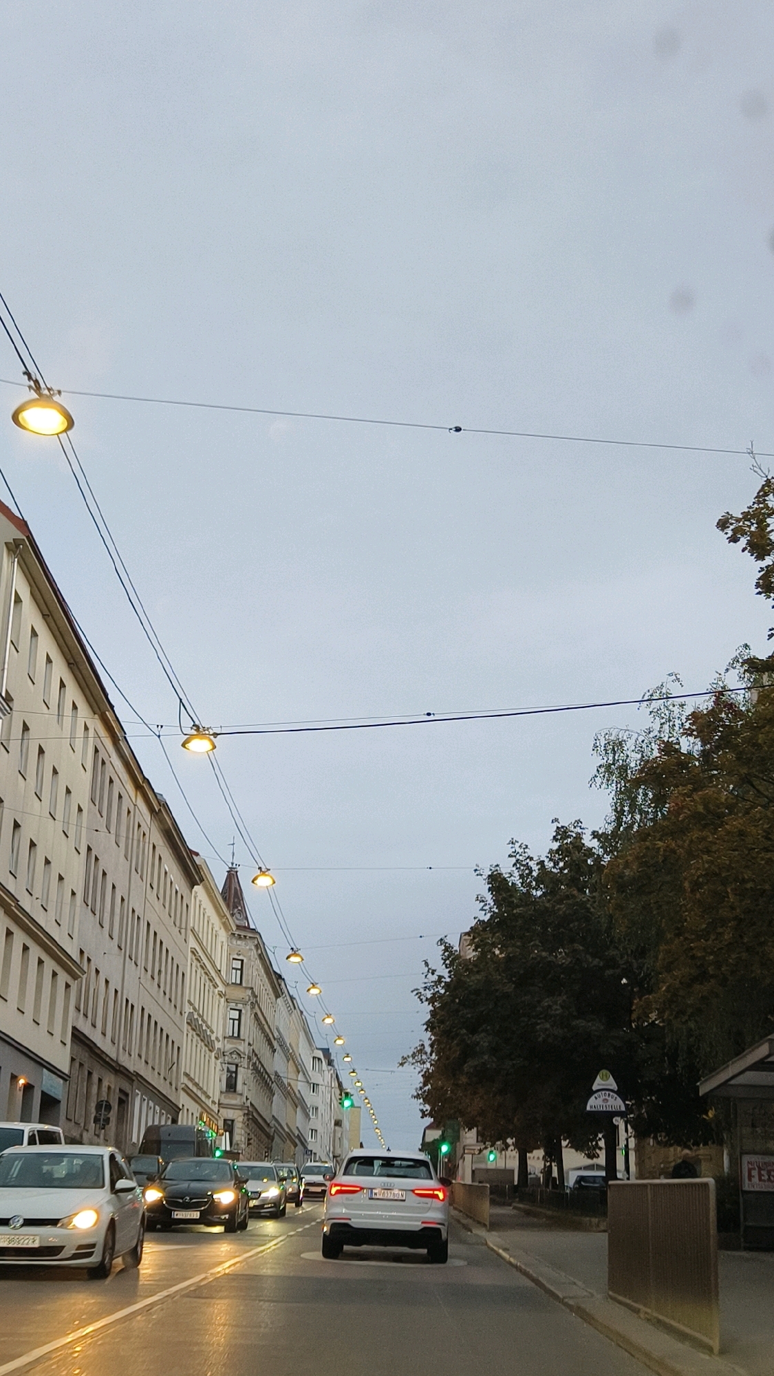 This is a vertical, eye-level, street-level, medium shot photograph taken from a vehicle moving forward through a city street in Vienna, Austria. The sky is overcast and light gray, and the streetlights are illuminated, suggesting it is either dusk or a heavily overcast day. The street is lined with multi-story buildings on the left, which are light-colored and appear to be residential or commercial. On the right side of the street, there are trees and a bus stop shelter. A line of cars is moving forward on the street. The car in the foreground, on the right side of the frame, is a white SUV with its taillights illuminated. The car directly in front of it is a white sedan. The street appears to be an urban setting with traffic lights, power lines, and streetlights overhead. A sign on the right side of the road reads "AUTOBUS HALTESTELLE" which translates to "Bus Stop" in German, confirming the location as Vienna, Austria. The overall impression is a typical urban street scene in Vienna during daytime with limited visibility due to overcast weather.
