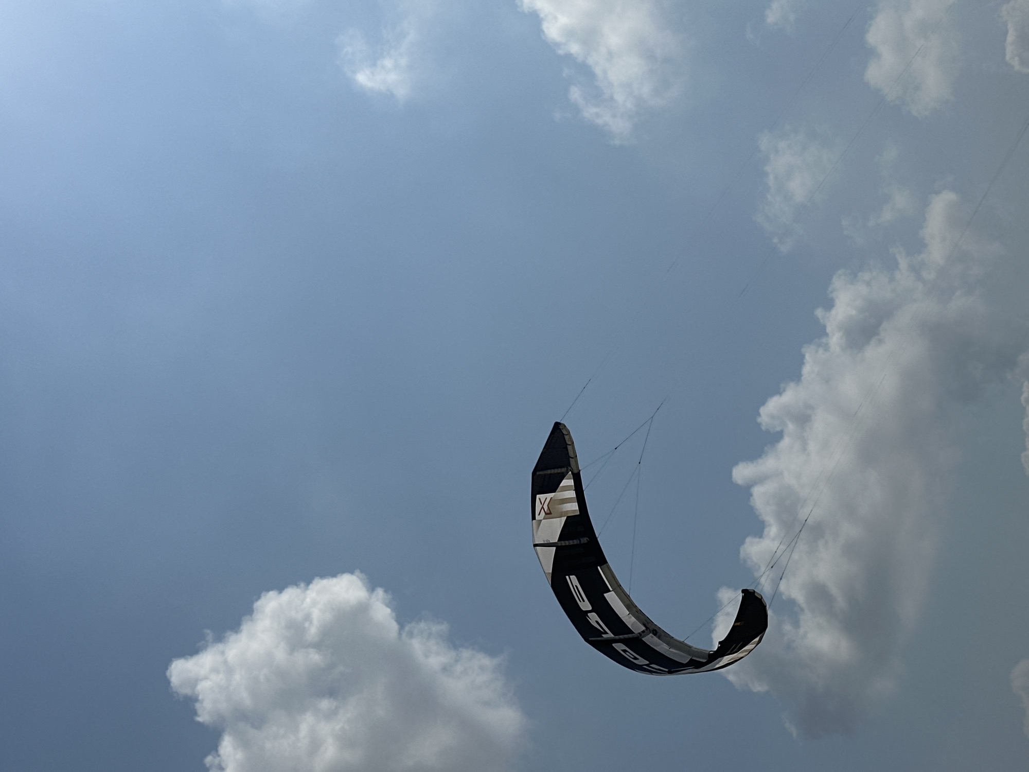 A kiteboarding kite, predominantly black with white accents and lettering, is suspended against a bright blue sky with scattered white cumulus clouds. The kite is curved in a crescent shape and appears to be in motion, indicated by thin control lines extending from it. The lettering on the kite is partially visible, with "6056" and an "X" symbol discernible. The scene is captured from a low-angle perspective, looking upwards. The general environment is outdoors, suggesting a location suitable for kiteboarding. This scene is not specifically identifiable as being in Haifa, Israel, as there are no distinguishing landmarks or context to confirm the location.