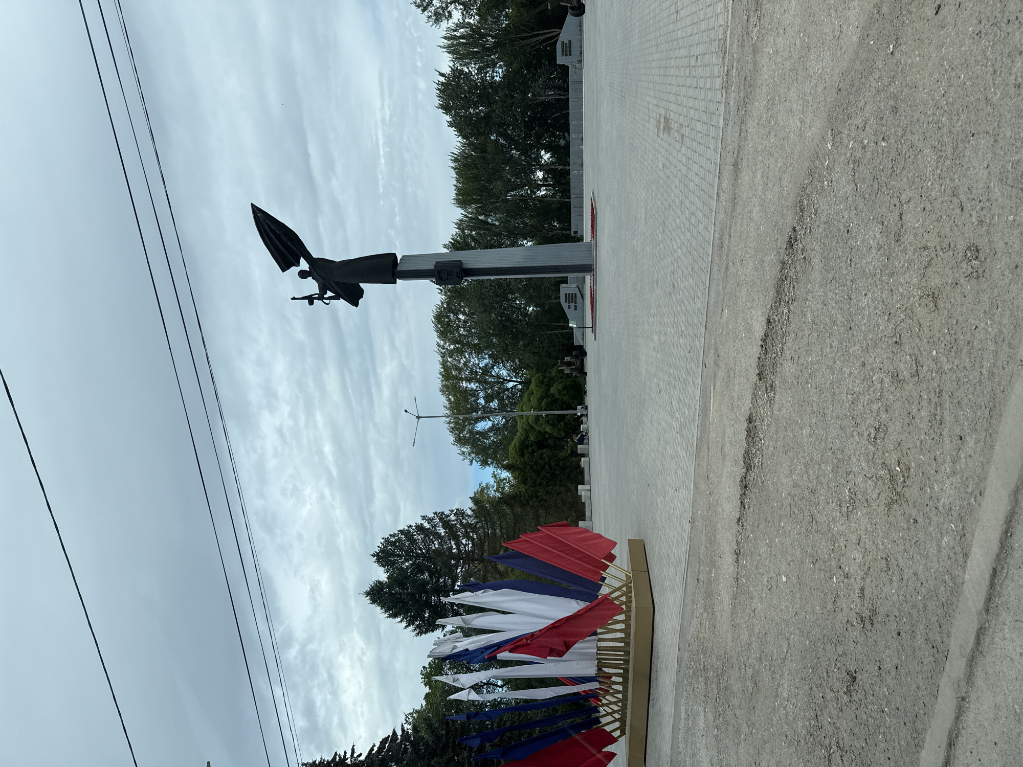 A black silhouette of a triumphant soldier holding a rifle and a flag stands atop a tall, slender monument. The monument itself is a dark gray rectangular pillar. In the foreground, a fan of small red, white, and blue flags is displayed on a golden stand. The scene is set in an open, paved area, likely a public square or park. In the background, a line of trees forms a backdrop, with some sparse foliage. The sky is overcast with dramatic, cloudy formations. Several power lines are visible stretched across the upper portion of the image. The overall impression is somber and patriotic.