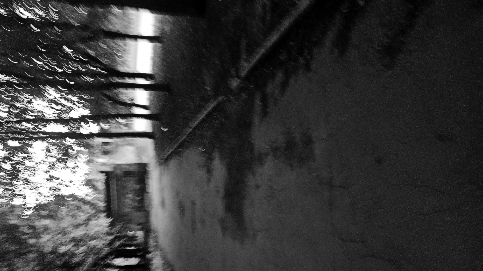 An abstract, black and white, motion-blurred image depicts an outdoor scene at night, possibly in a park or along a path. The most prominent features are the streaks of light created by the motion blur, which give the impression of trees with bright, flickering leaves. A dark, paved path occupies the foreground, leading into the background where a low, indistinct structure, perhaps a building or wall, is visible. The overall effect is ethereal and impressionistic, with details obscured by the blur.