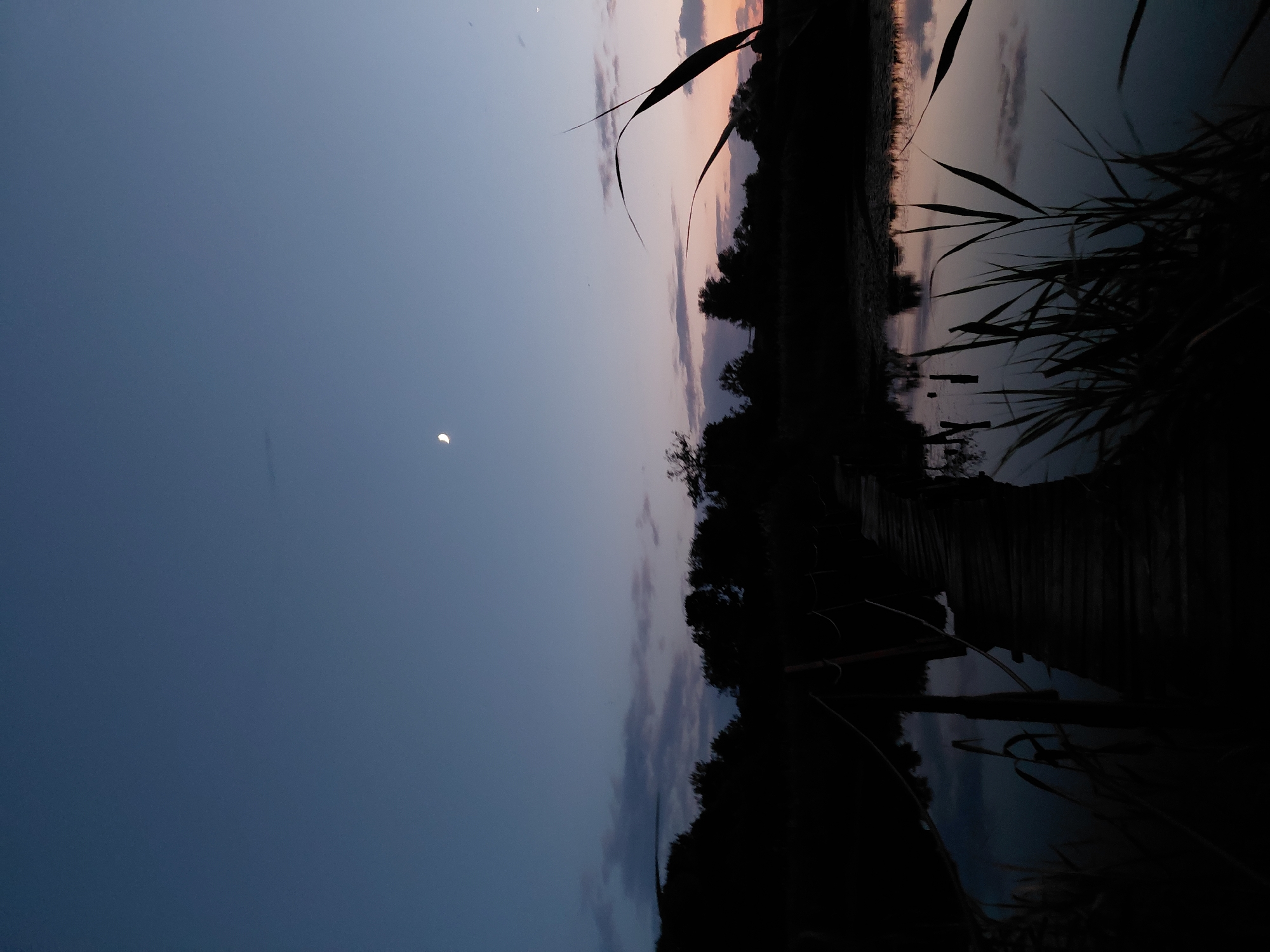 The image depicts a twilight scene at a body of water, likely a river or lake, on the outskirts of Ustyvytsia, Ukraine. A wooden footbridge, appearing somewhat weathered and rustic, extends from the foreground into the water, supported by posts and bordered by rope railings. Tall reeds and grasses in silhouette frame the right side of the scene, their reflections visible in the calm, dark water. The opposite bank is lined with a dense silhouette of trees. Above, the sky transitions from a deep blue at the top to softer hues of pink and orange near the horizon, indicating the sun has recently set. A crescent moon is visible in the upper left portion of the sky. The overall atmosphere is tranquil and natural, characteristic of a rural Ukrainian landscape at dusk.